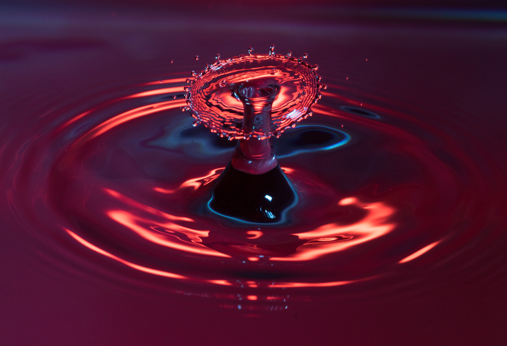 Sigma APO Macro 150mm f/2.8 EX DG HSM sample photo. High-speed drops photography