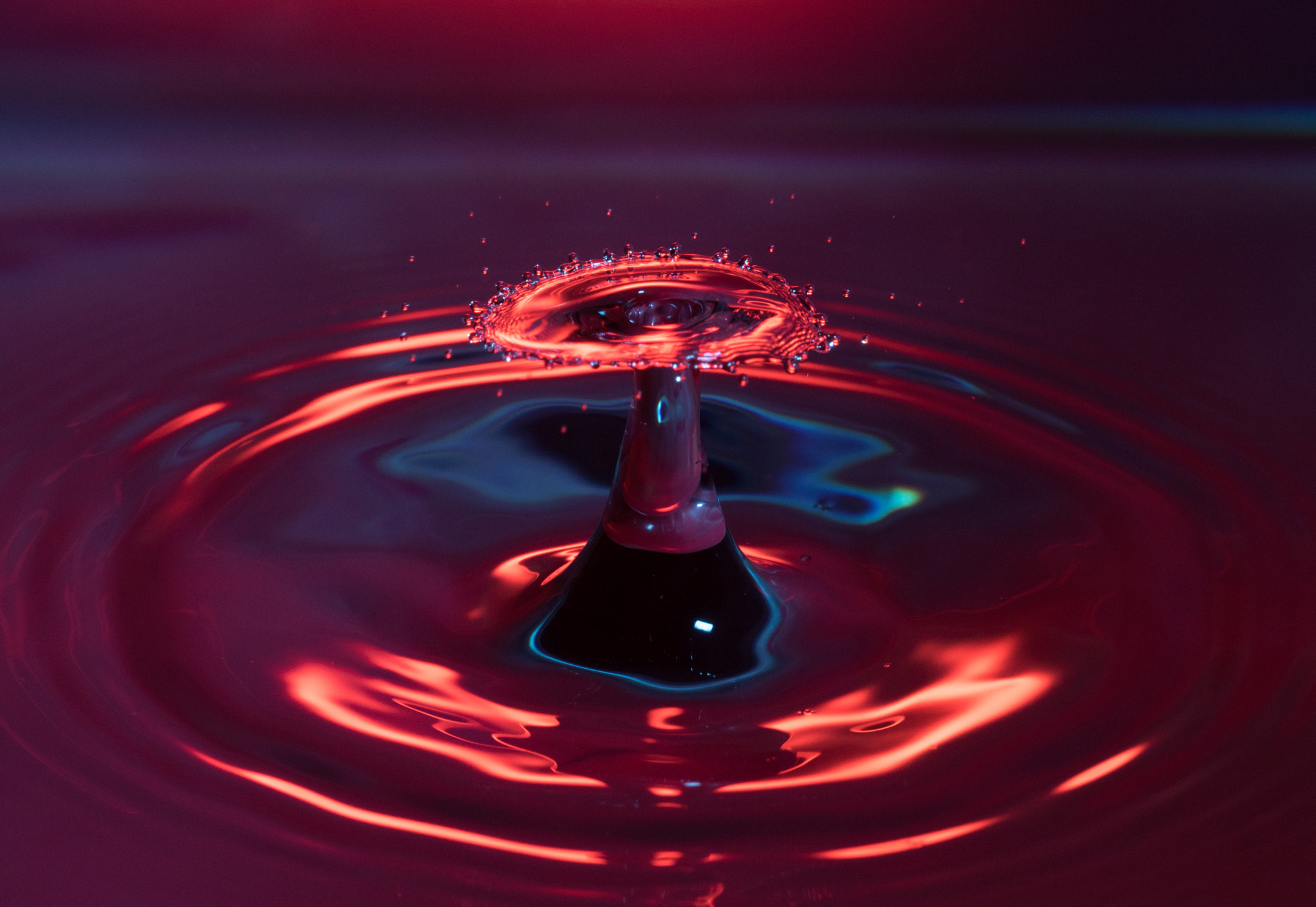 Sigma APO Macro 150mm f/2.8 EX DG HSM sample photo. High-speed drops photography