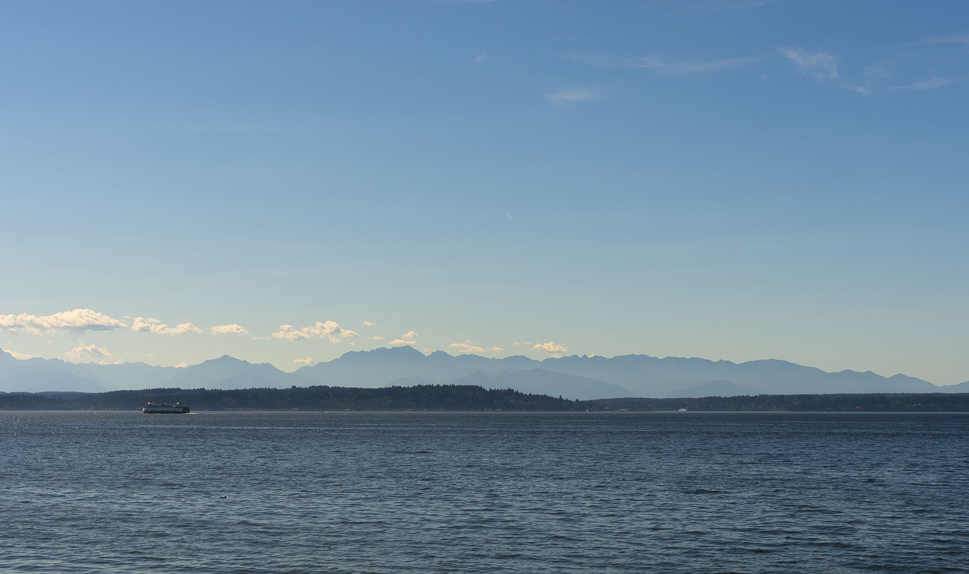 Pentax K-5 II + Pentax smc FA 43mm F1.9 Limited sample photo. Ferry from alki photography