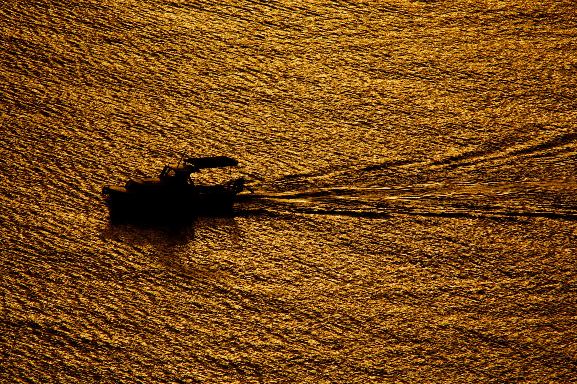 Sigma 150-500mm F5-6.3 DG OS HSM sample photo. _mg_0980.jpg photography