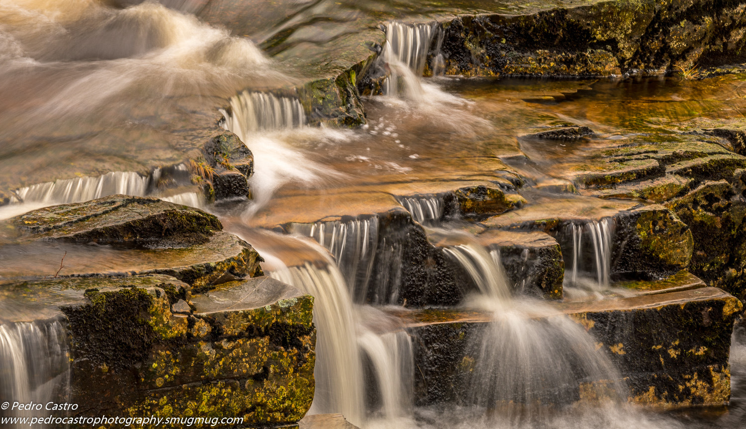 Sony a7R II + Canon EF 70-200mm F4L IS USM sample photo. Pedro castro - pedrocastrophotography.smugmug.com photography