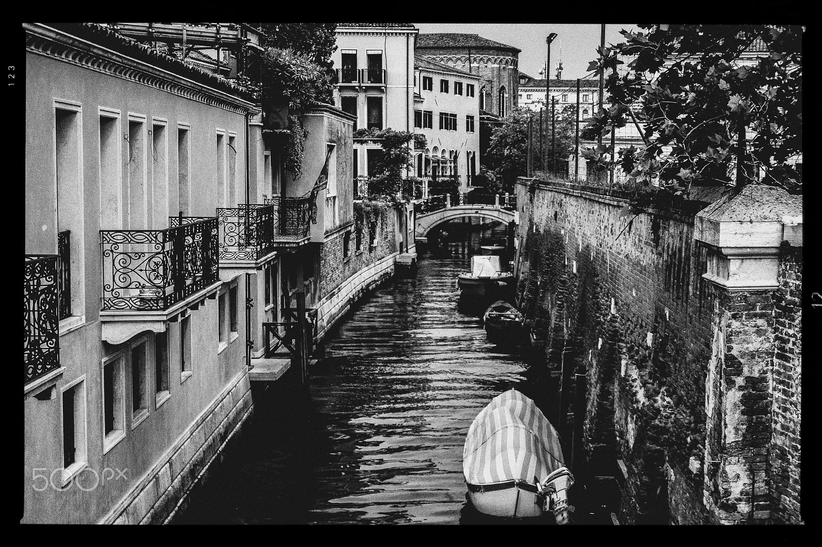Sigma 18-50mm f/2.8 Macro sample photo. Venetian recluse photography