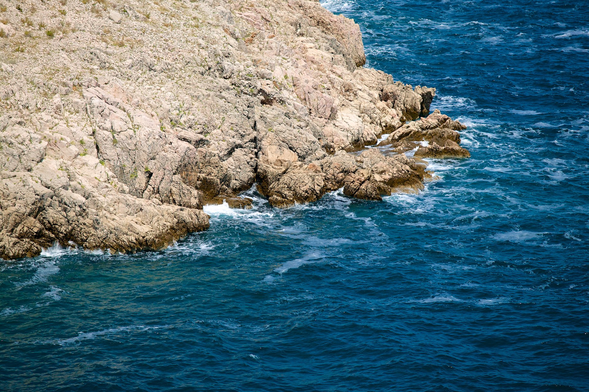 Canon EOS-1Ds sample photo. 79aw2021.jpg photography