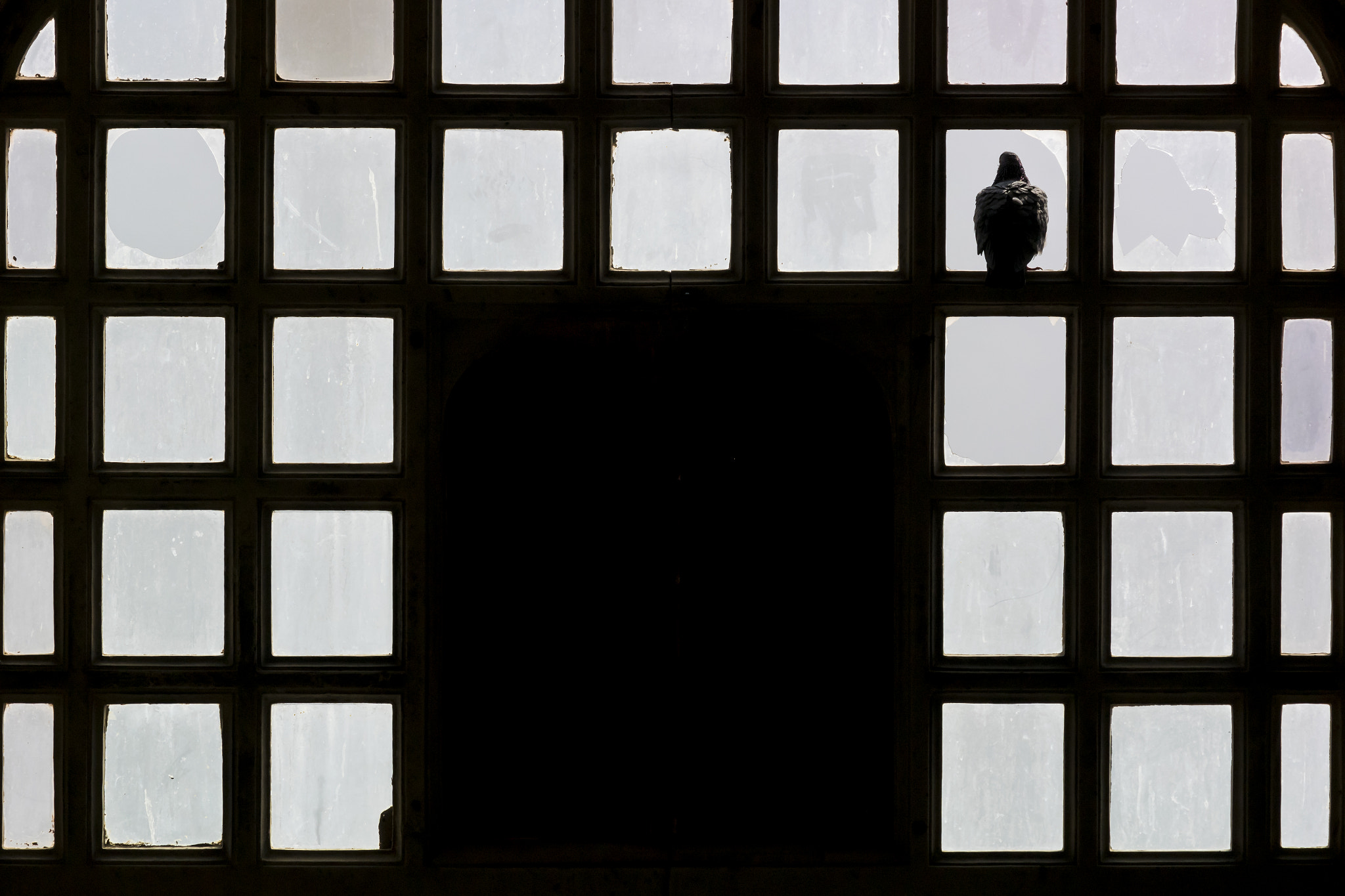 Nikon 1 Nikkor VR 30-110mm F3.8-5.6 sample photo. Dsc_3262.jpg photography