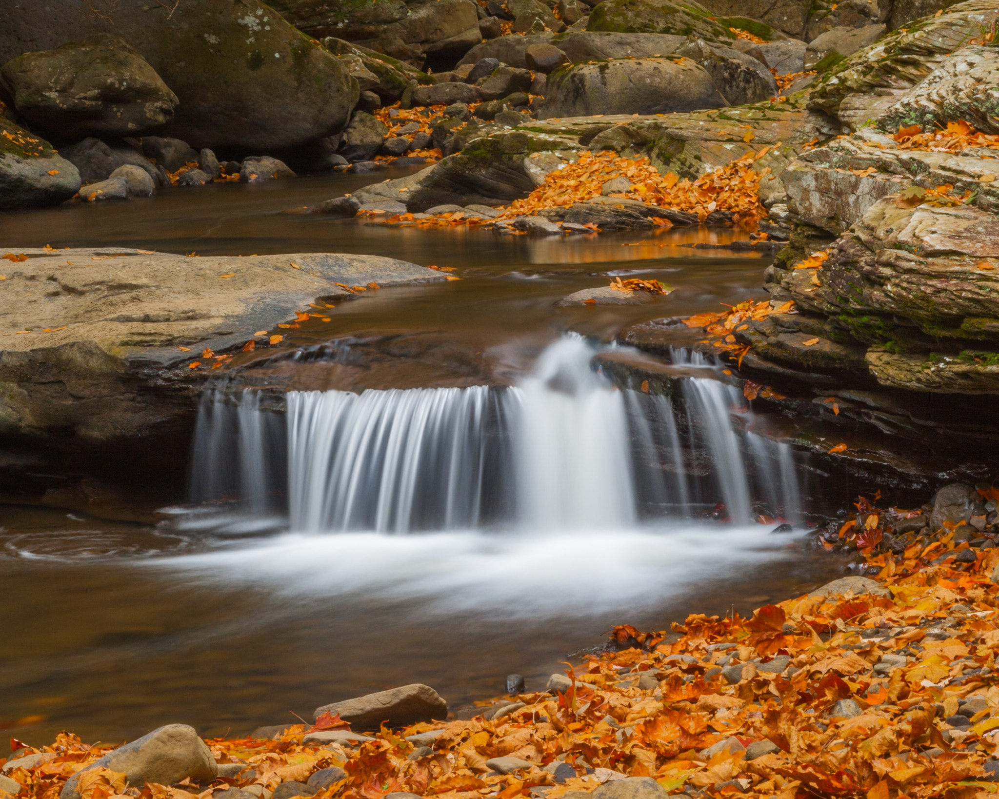 Canon EF 28-90mm f/4-5.6 sample photo. Ohiopyle in the fall #4 photography