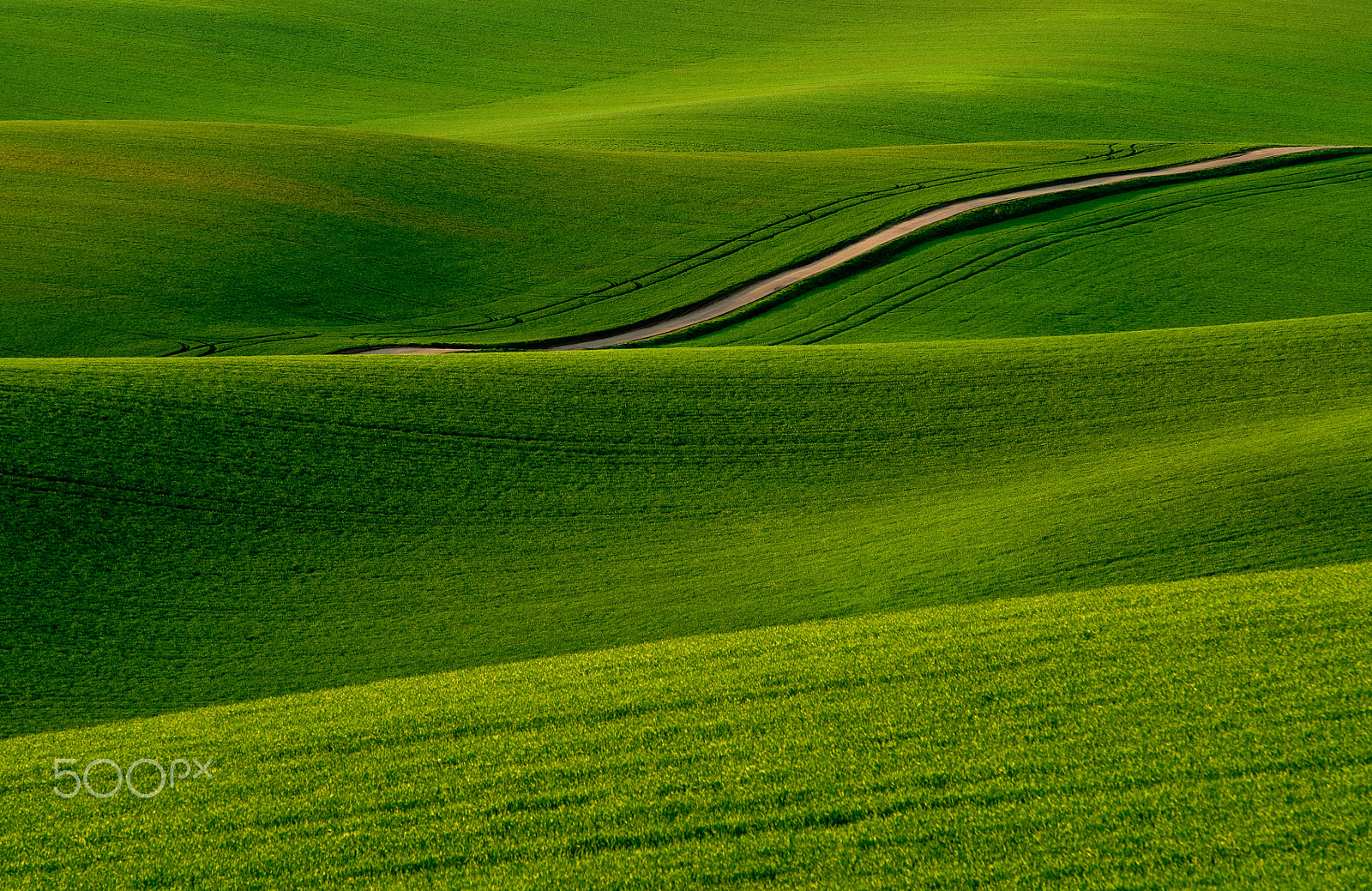 Sigma 70-200mm F2.8 EX DG Macro HSM II sample photo. Winding field road photography