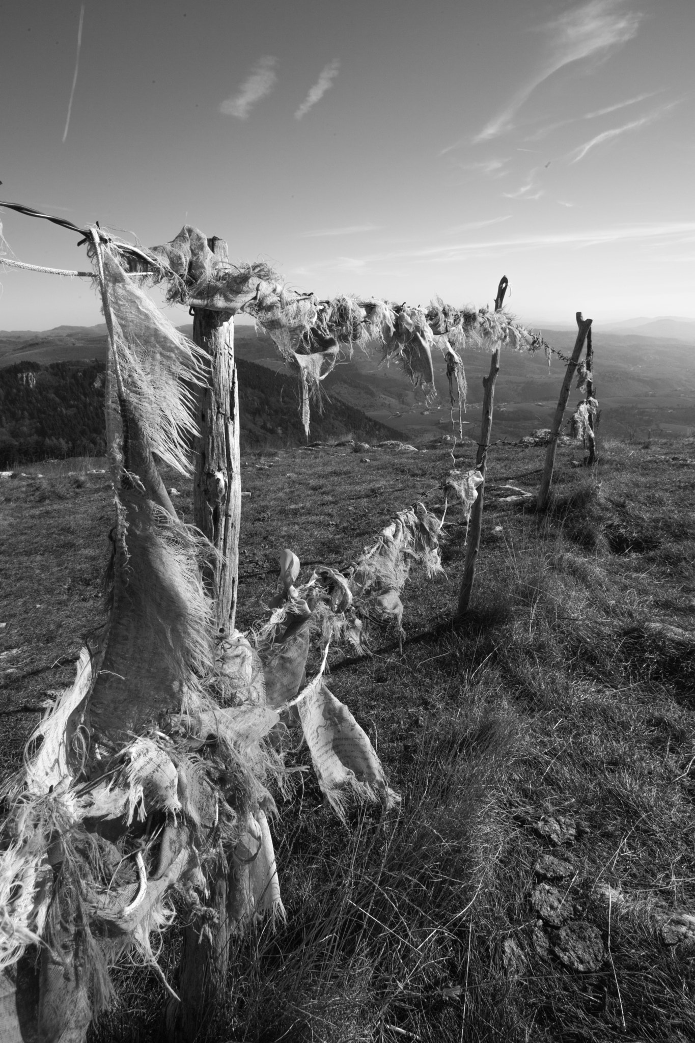 Canon EOS 6D + Canon EF 20-35mm f/2.8L sample photo. Tibetan flags photography