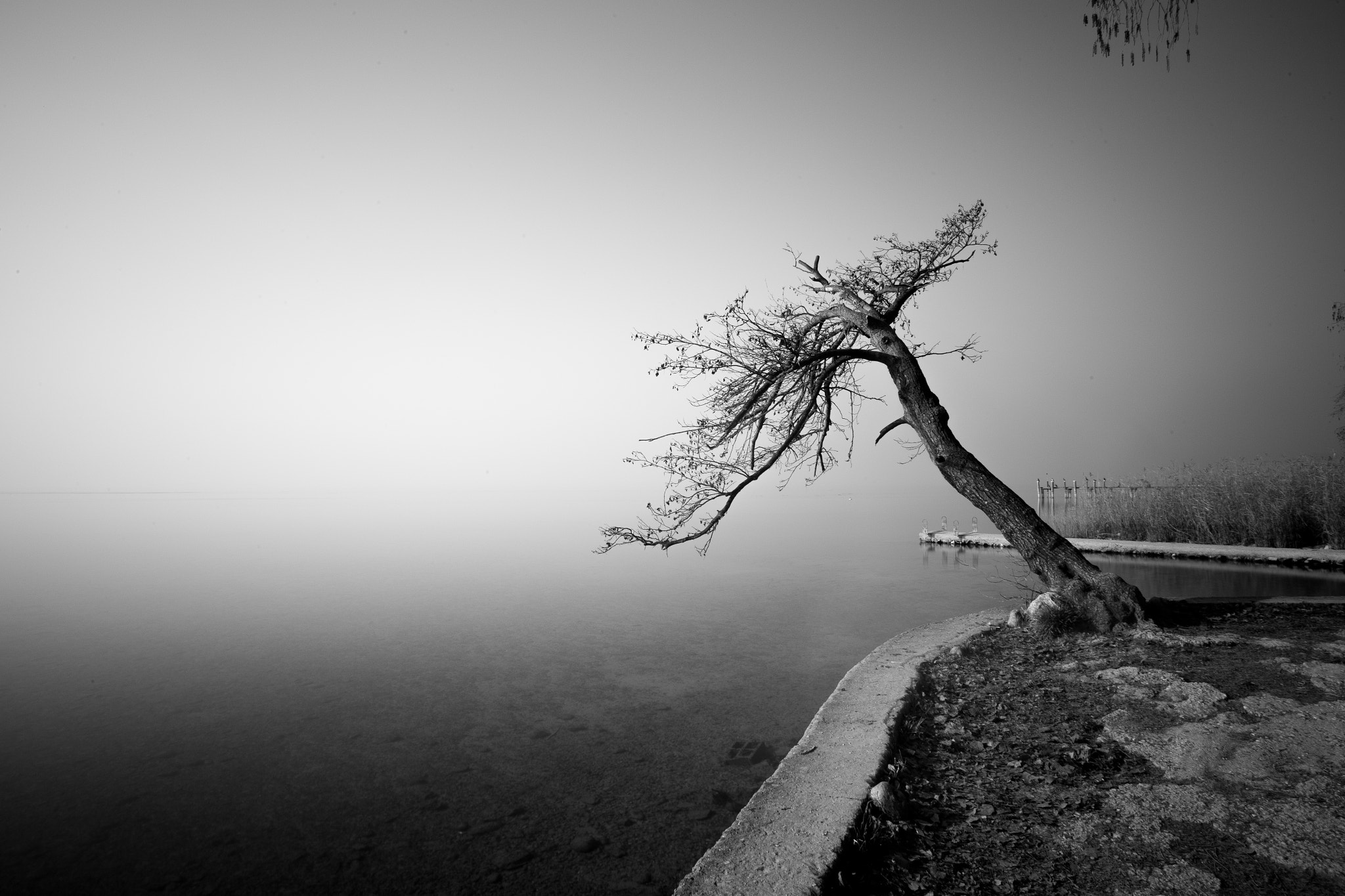 Canon EOS 6D + Canon EF 20-35mm f/2.8L sample photo. Lazise photography