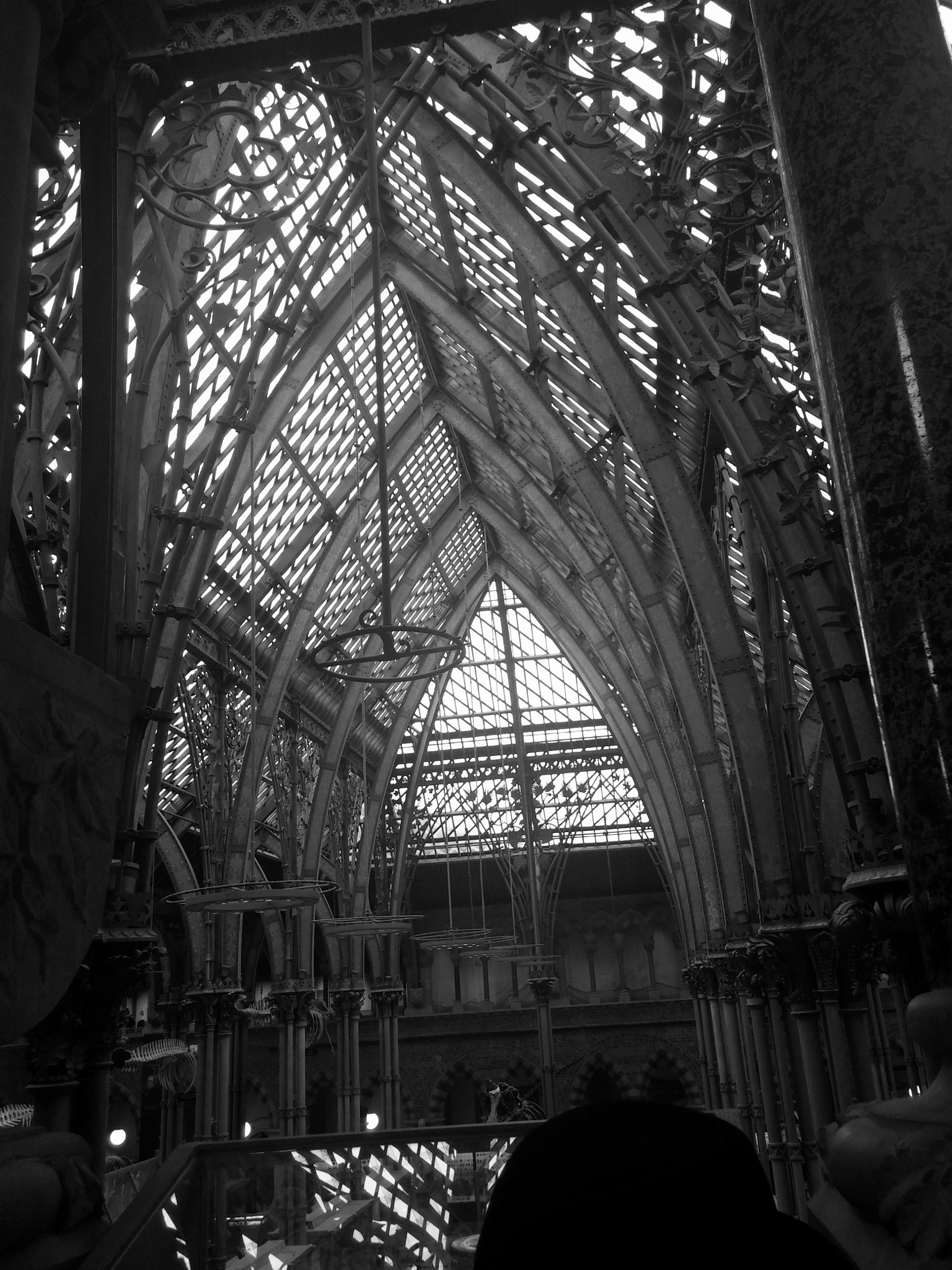 LG D80 sample photo. Nhm oxford photography