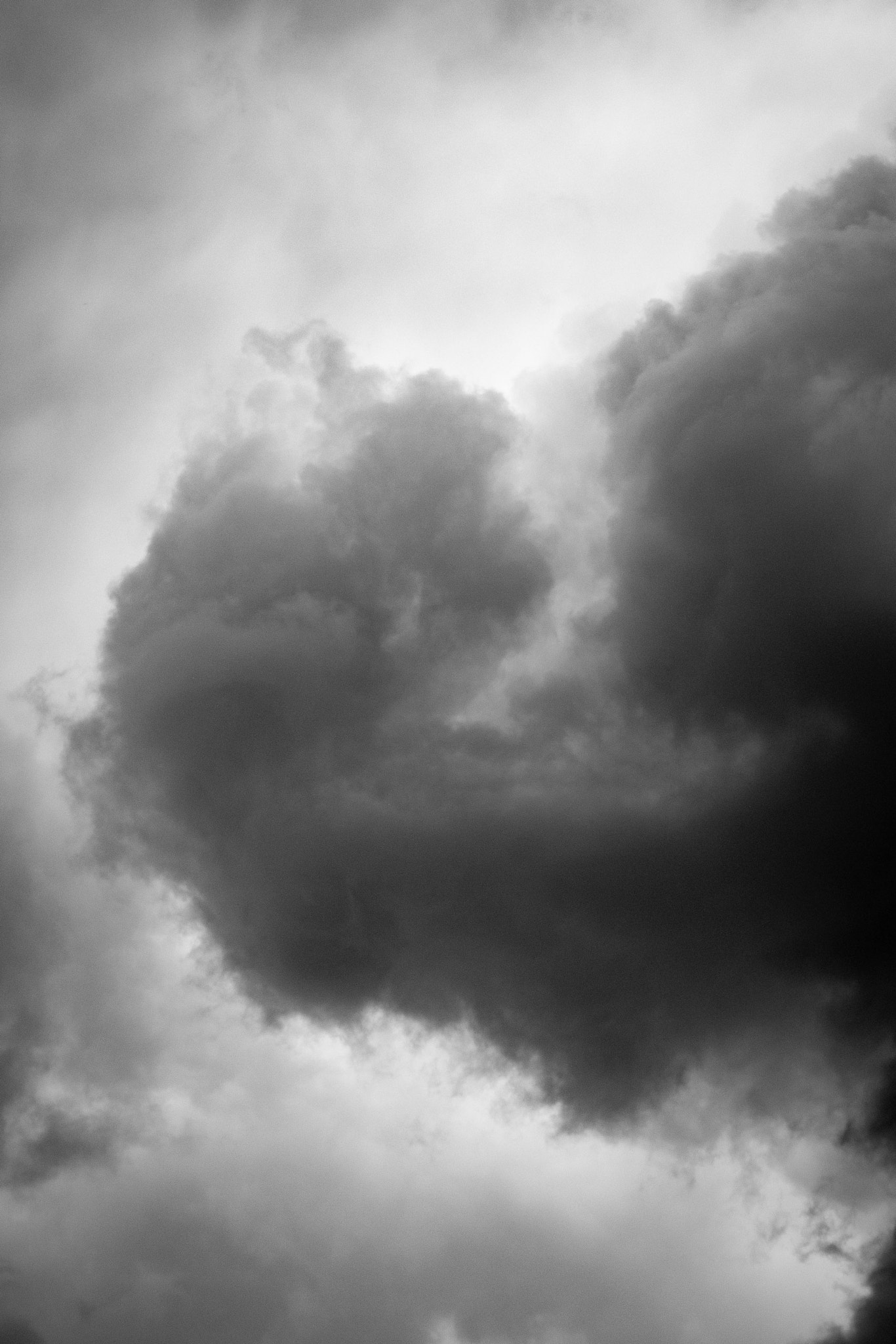 Nikon D40X sample photo. Caribbean equivalent photography