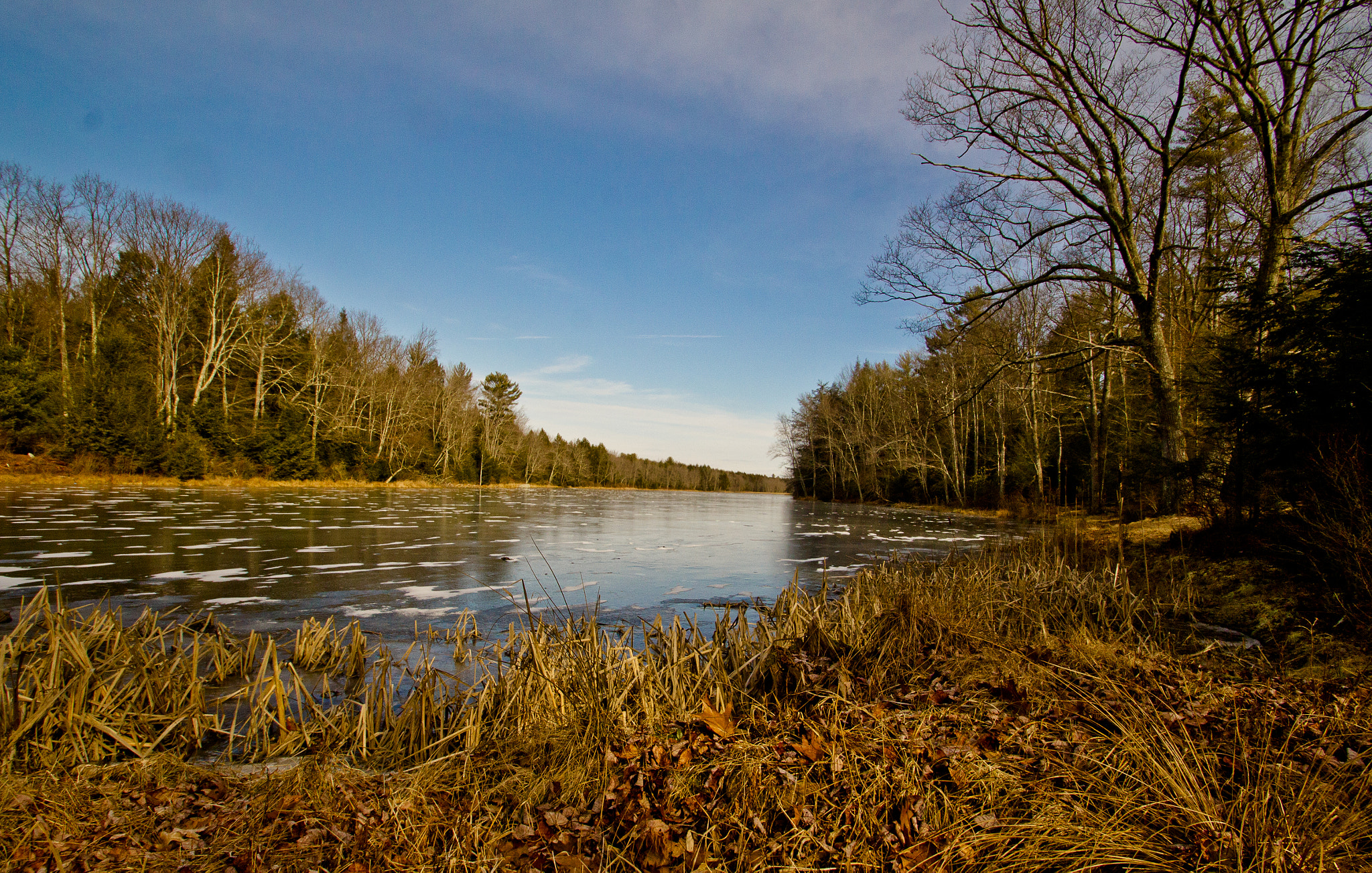 Sigma 10-20mm F3.5 EX DC HSM sample photo. Ice on birchwood pond photography