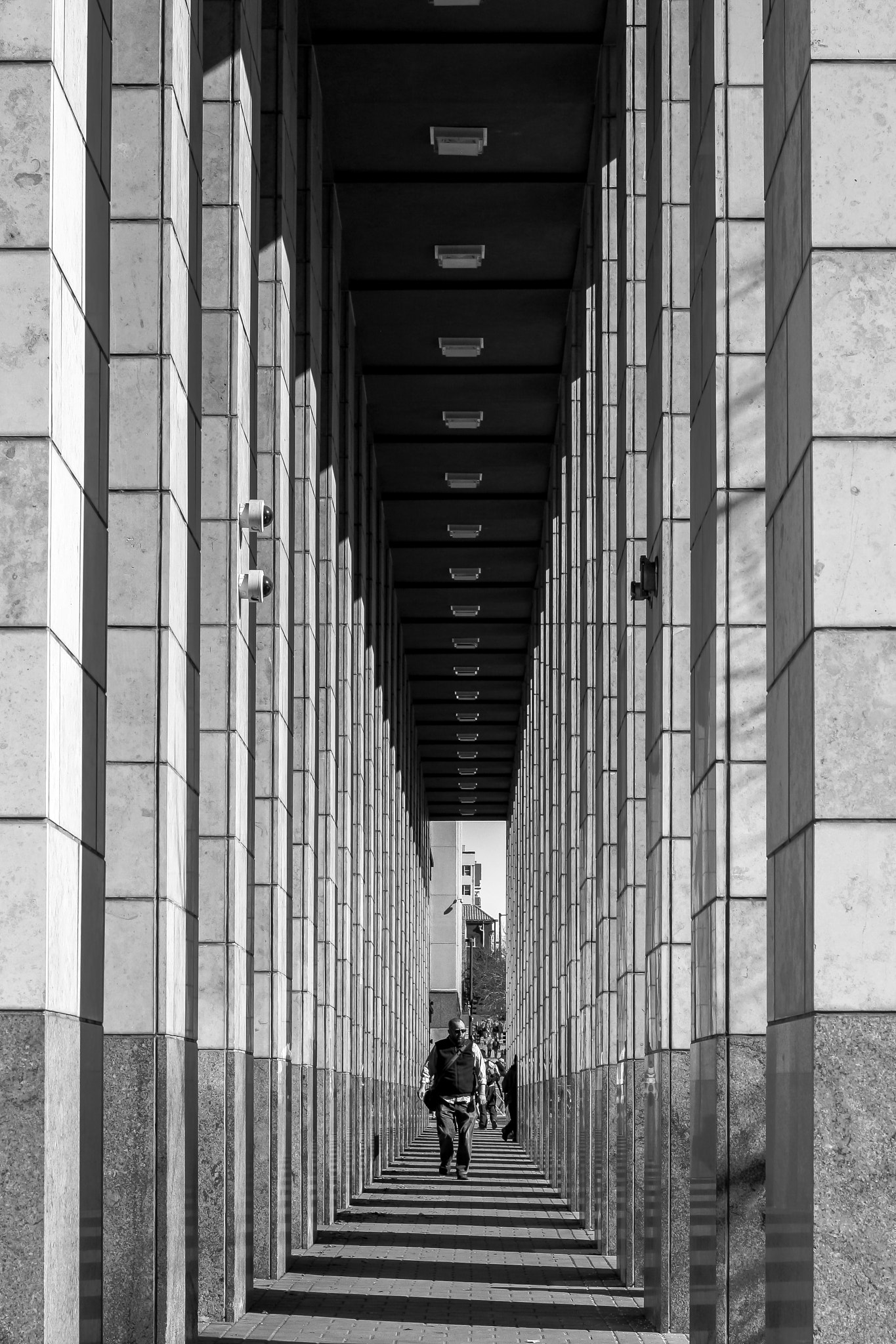 Canon EOS 400D (EOS Digital Rebel XTi / EOS Kiss Digital X) sample photo. Civic center park - denver photography