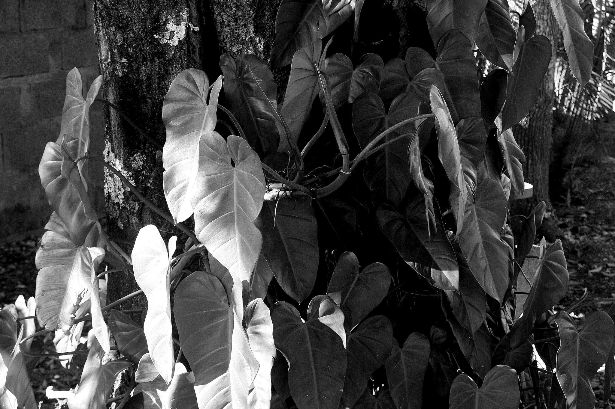 Canon EOS 30D sample photo. Img_2360.jpg photography
