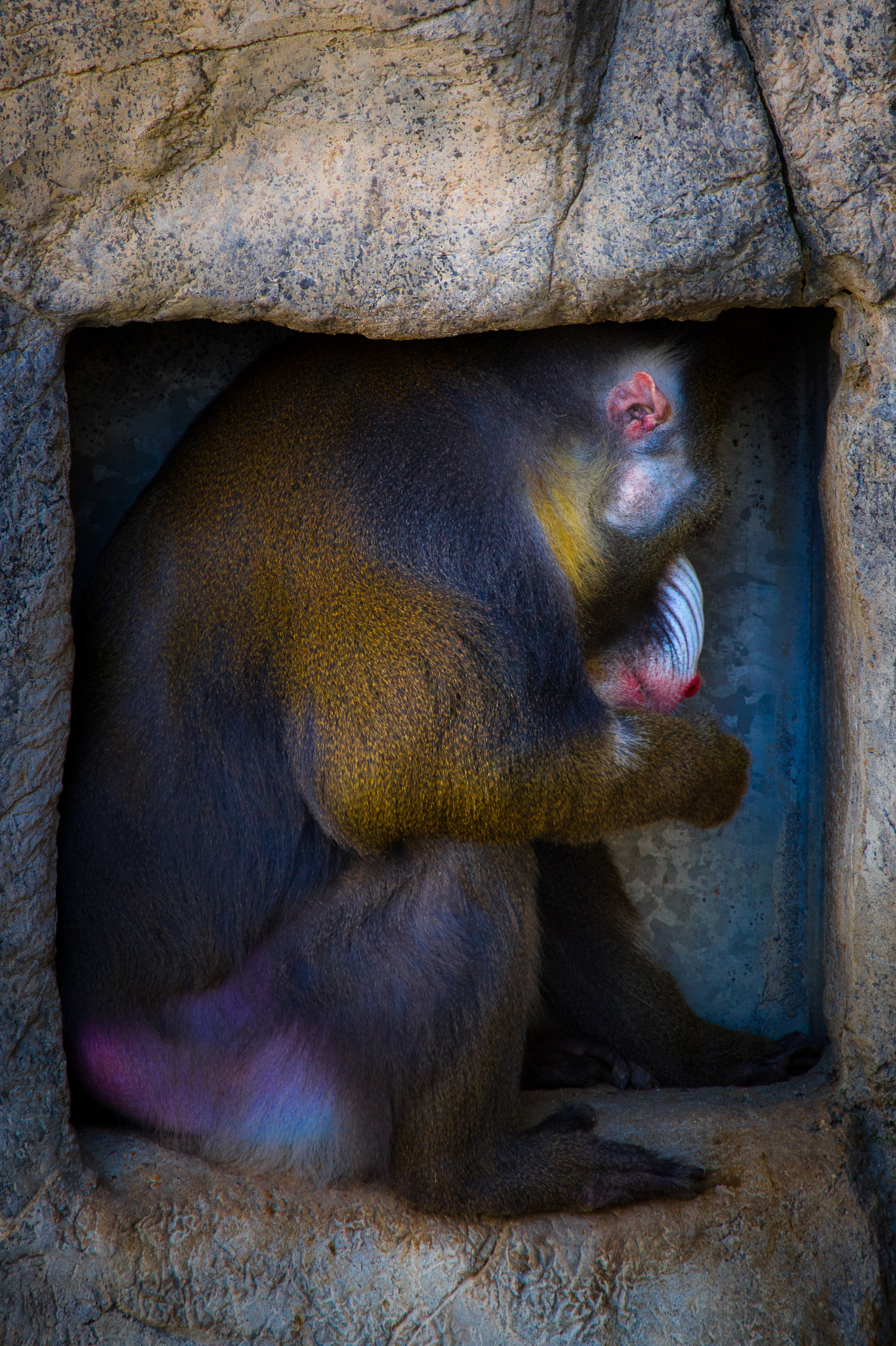 Sony 70-300mm F4.5-5.6 G SSM sample photo. Time out photography