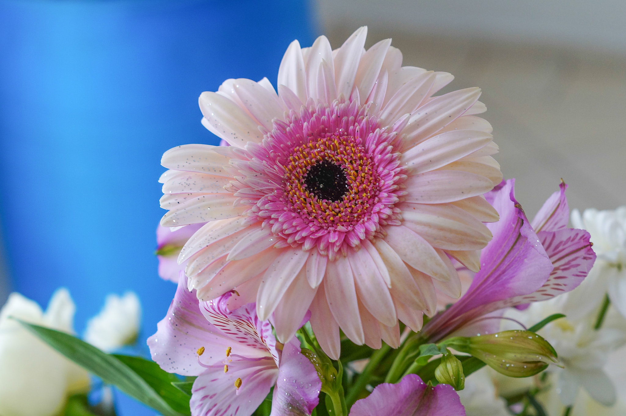 Sony SLT-A37 + Sony DT 50mm F1.8 SAM sample photo. Flores photography