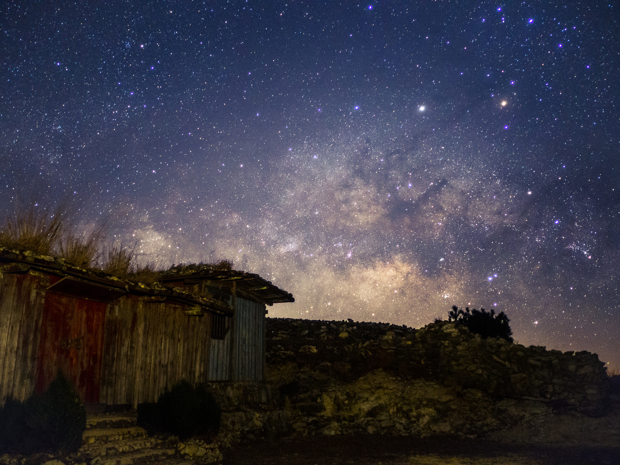 Olympus OM-D E-M10 + LEICA DG SUMMILUX 15/F1.7 sample photo. Watching the first rising of scorpius in year of monkey photography