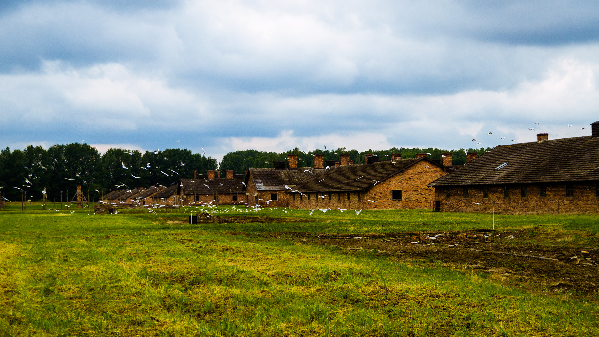 Nikon D7000 + Sigma 18-50mm F2.8 EX DC sample photo. Revival at birkenau photography