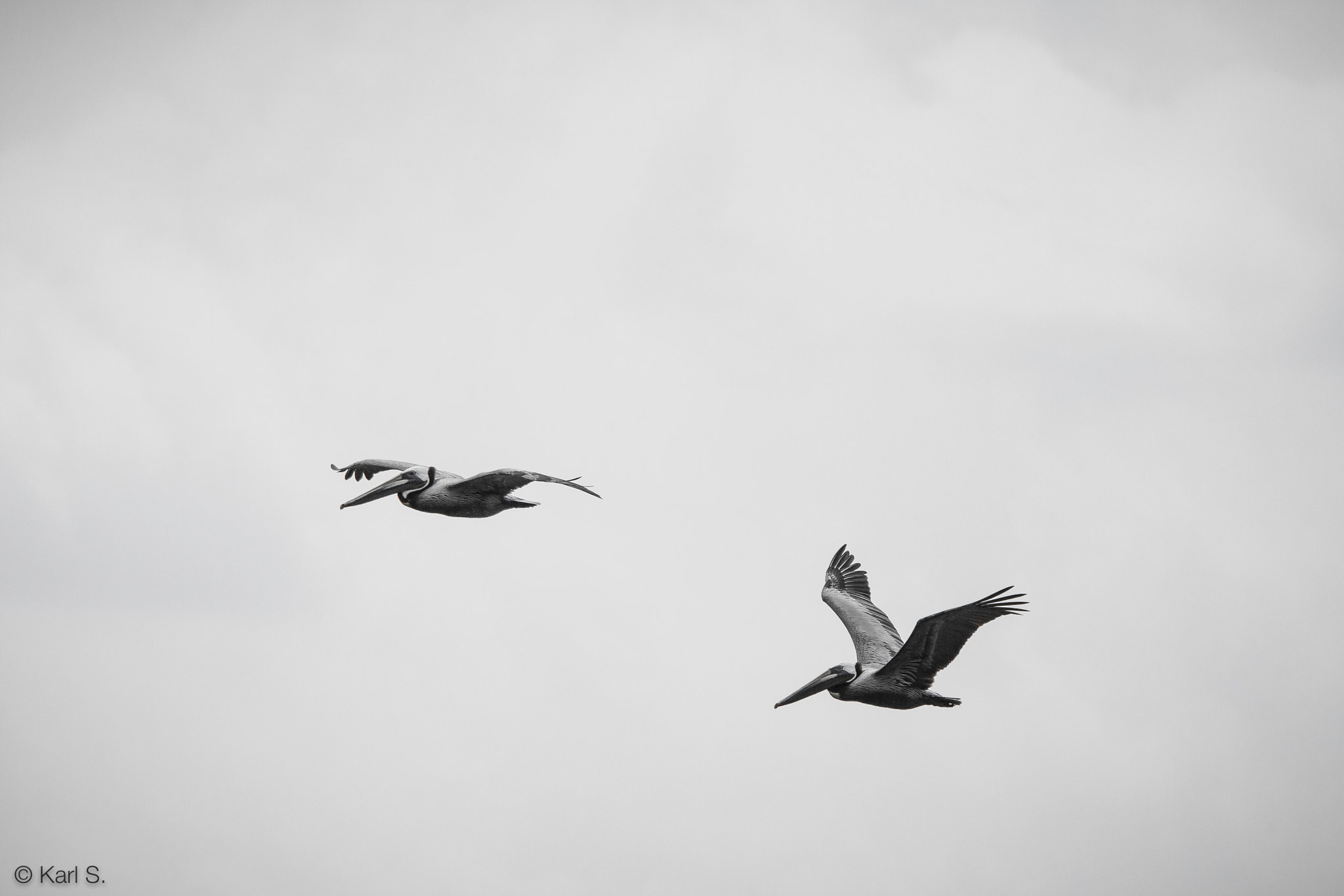 Sigma 150-500mm F5-6.3 DG OS HSM sample photo. Air born photography