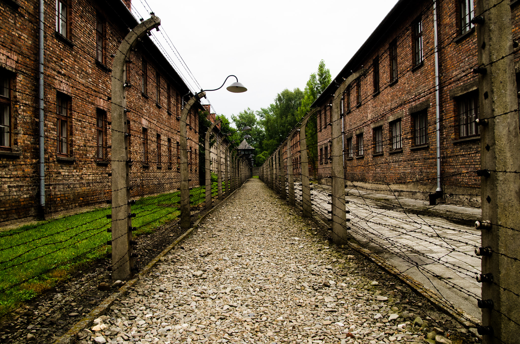 Nikon D7000 + Sigma 18-50mm F2.8 EX DC sample photo. The fences of auschwitz photography