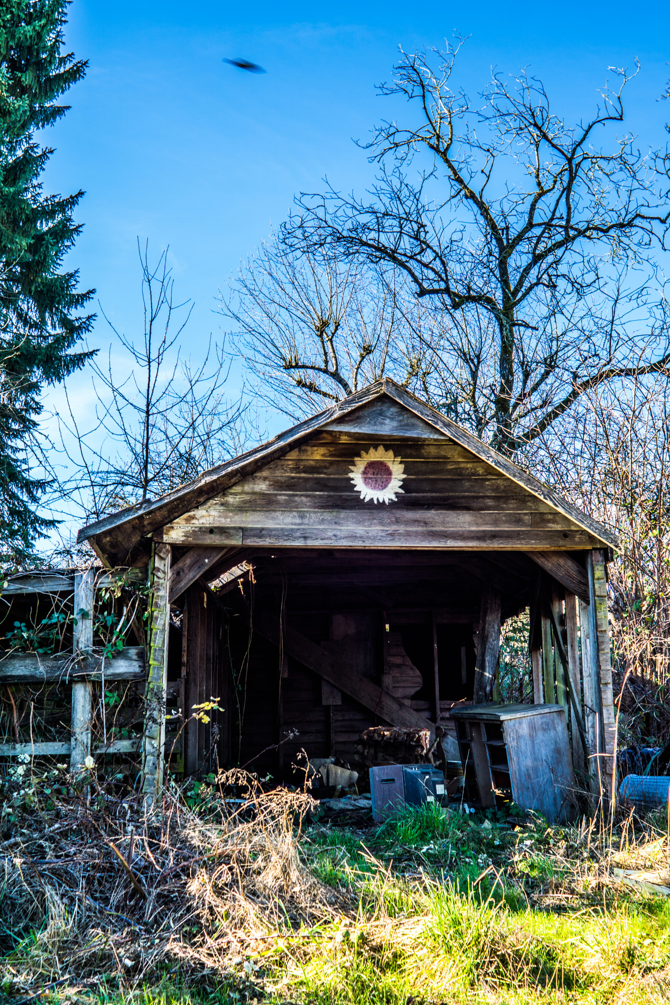 Sony 28mm F2.8 sample photo. Abandoned carport photography
