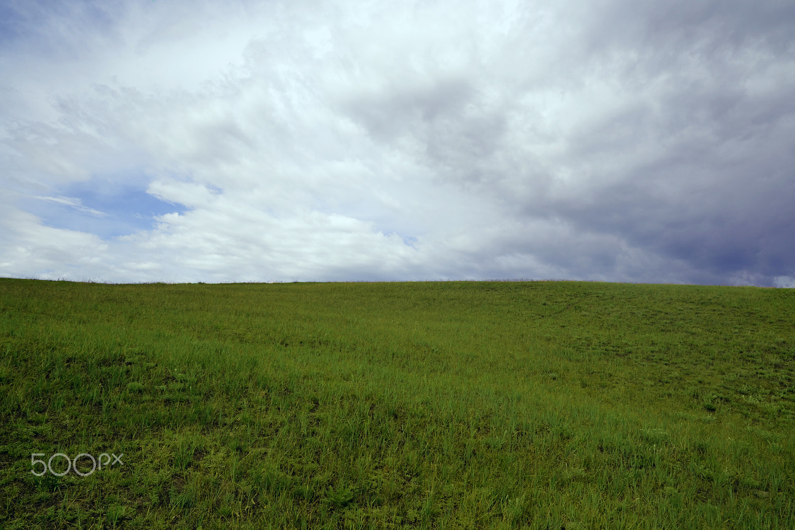 AF Zoom-Nikkor 35-80mm f/4-5.6D sample photo. Field photography