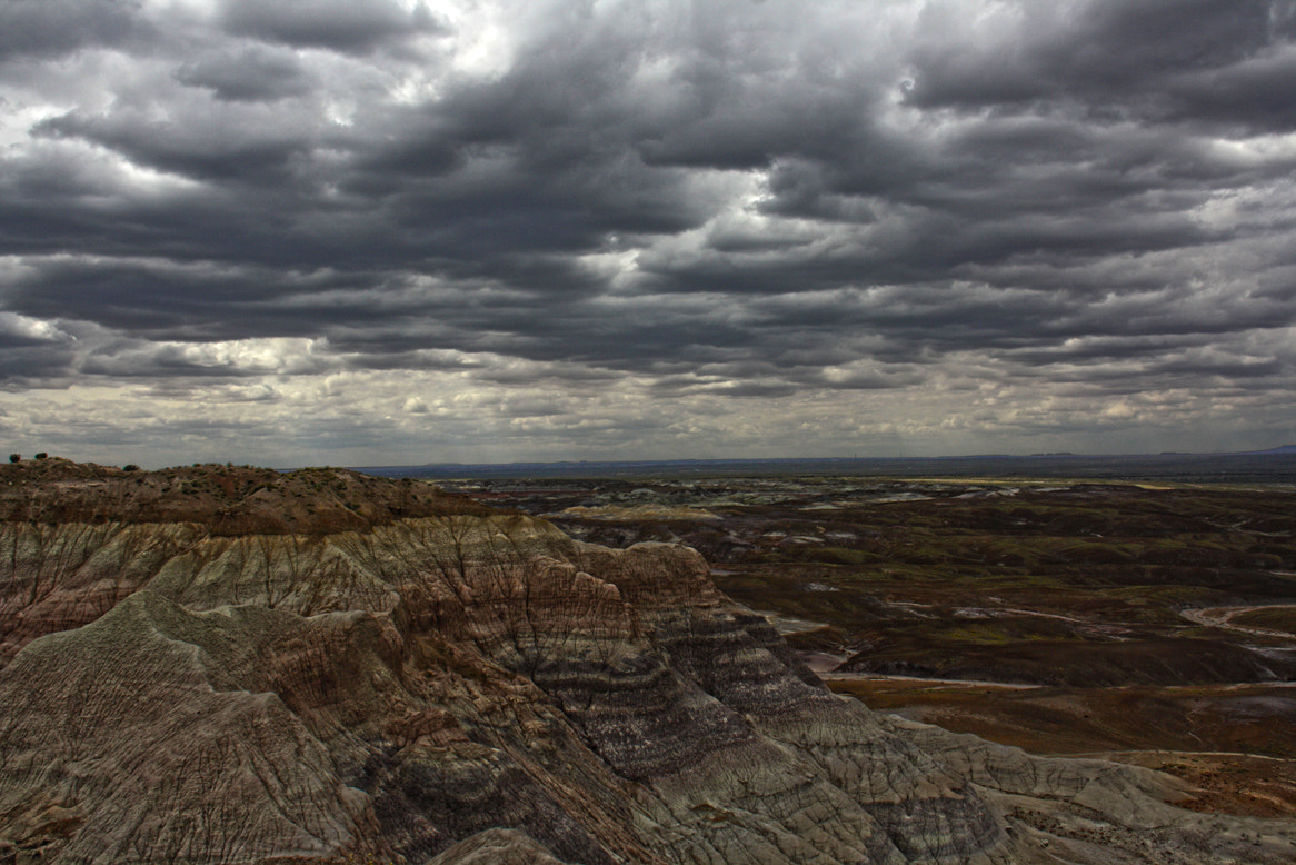 Canon EOS 1000D (EOS Digital Rebel XS / EOS Kiss F) sample photo. A view of petrified forest national park photography