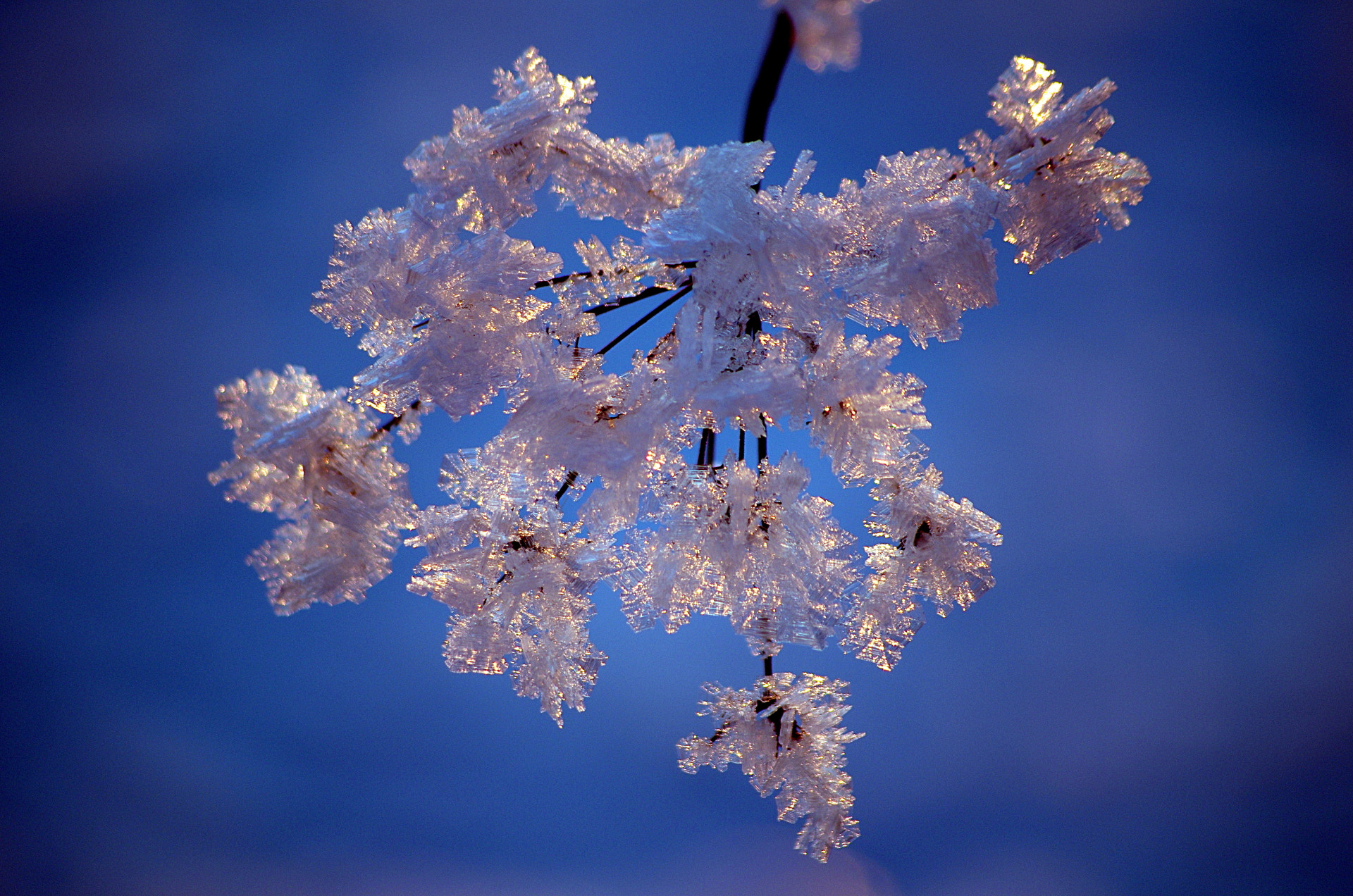 Pentax smc DA 55-300mm F4.0-5.8 ED sample photo. Frost photography