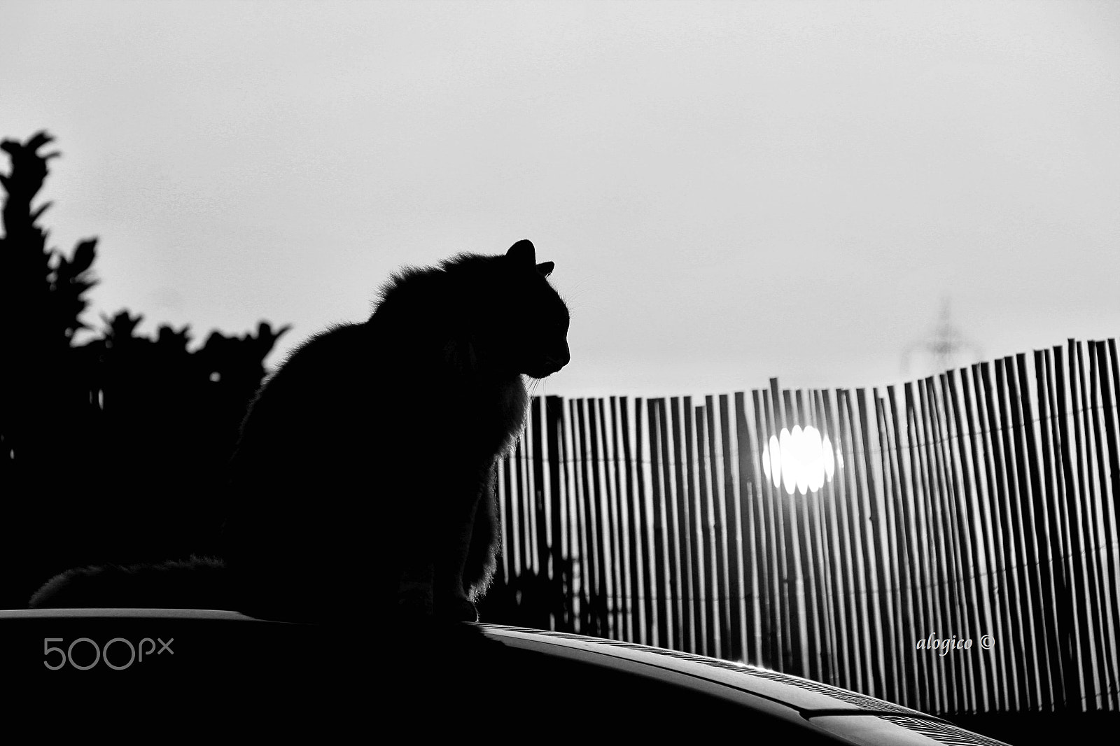 Canon EF-S 18-200mm F3.5-5.6 IS sample photo. — in the shadow of the last sun — photography