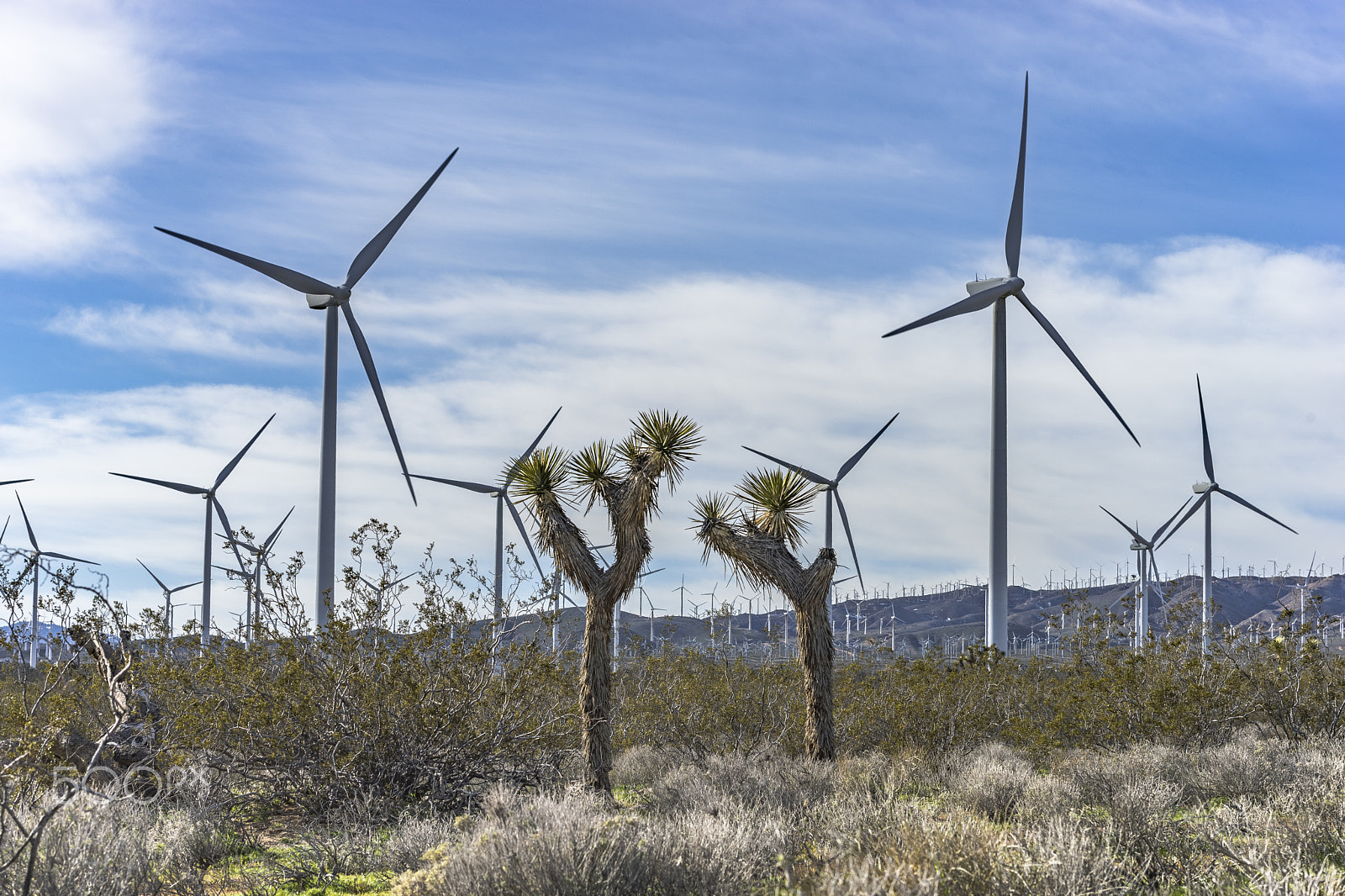 Sony a99 II + Sony 85mm F2.8 SAM sample photo. Tehachapi wind farm photography