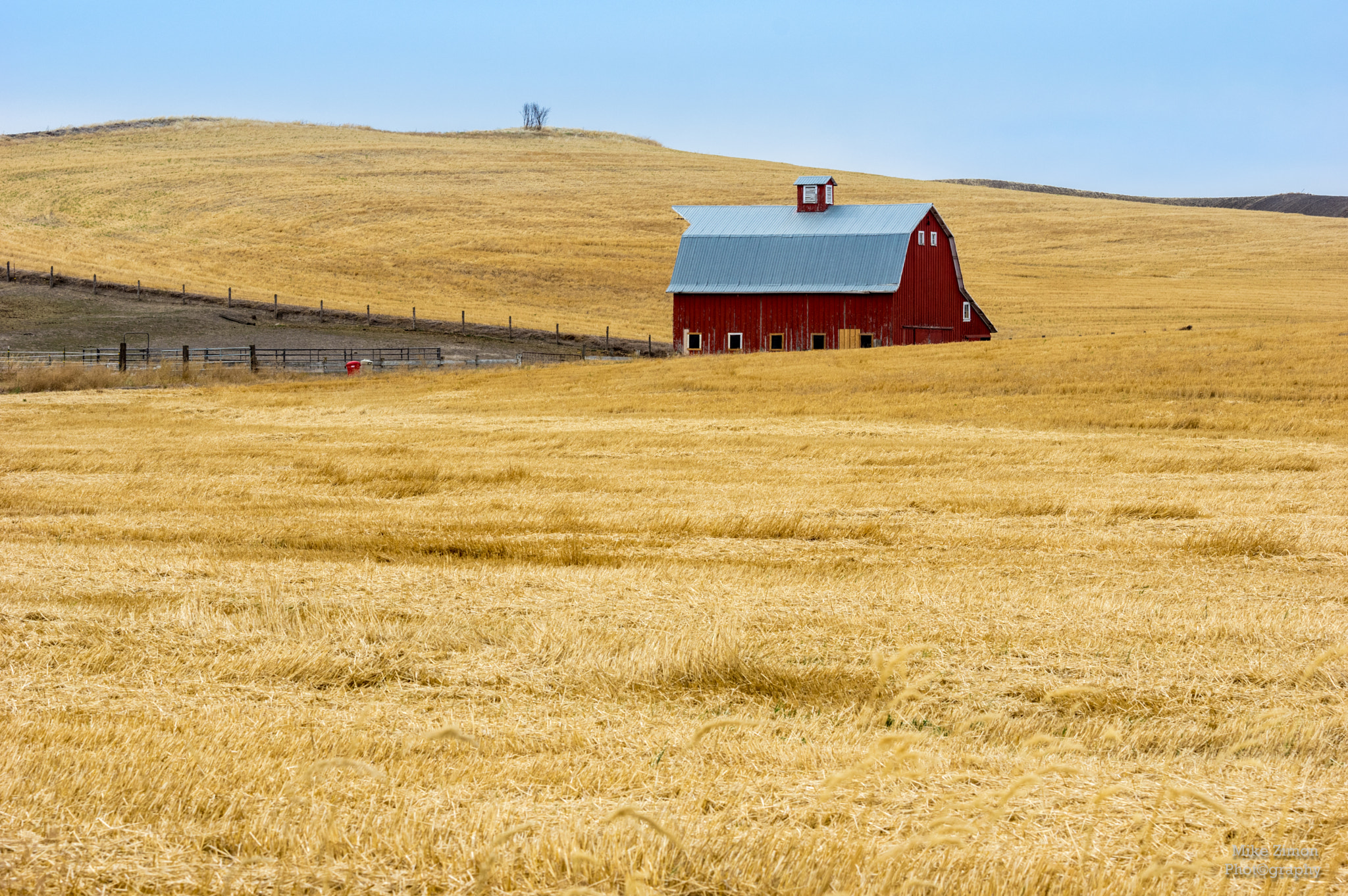 Pentax K-3 + Sigma 70-200mm F2.8 EX DG OS HSM sample photo. Golden field photography