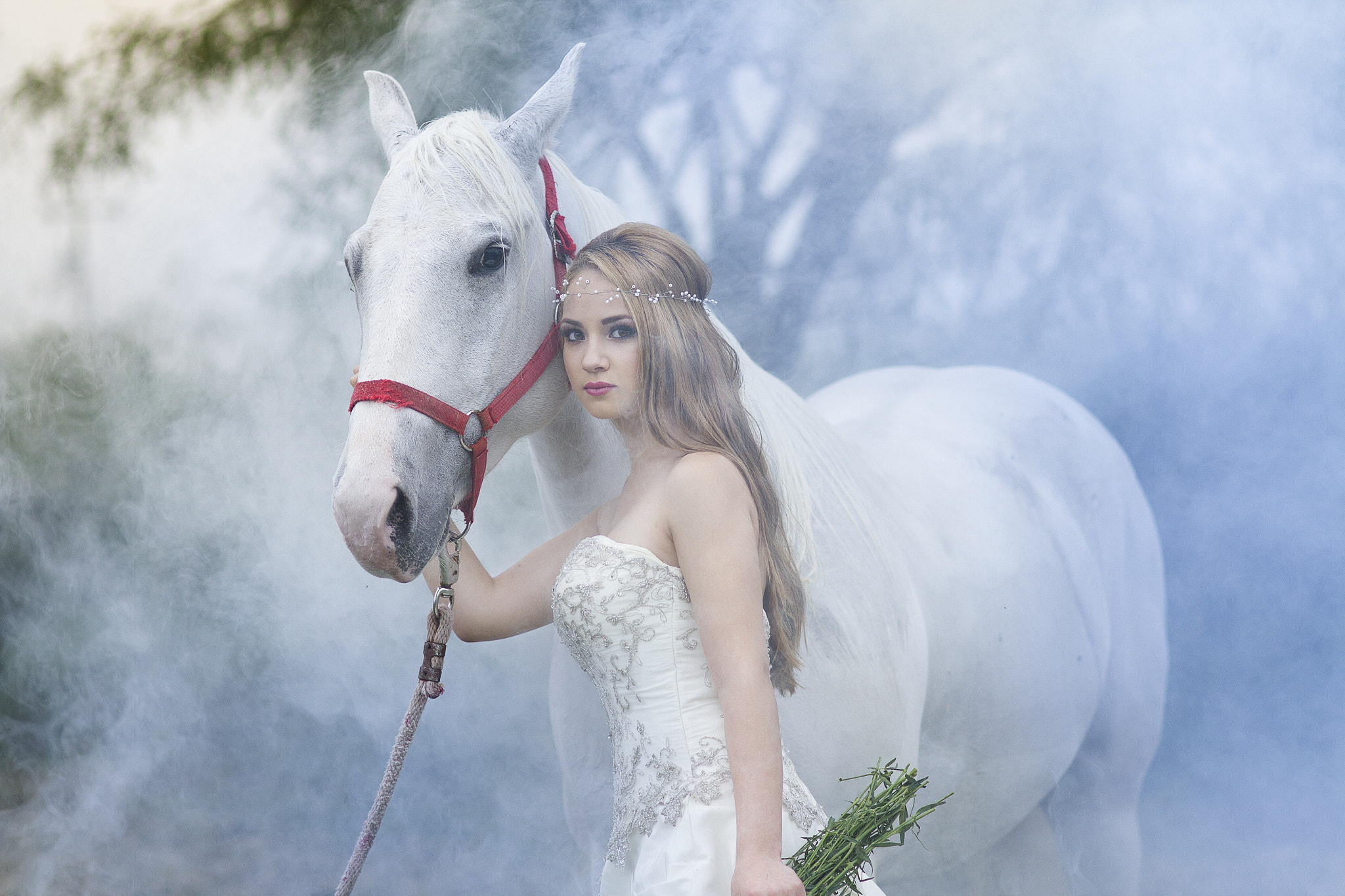 Sigma 85mm F1.4 EX DG HSM sample photo. Dreams photography