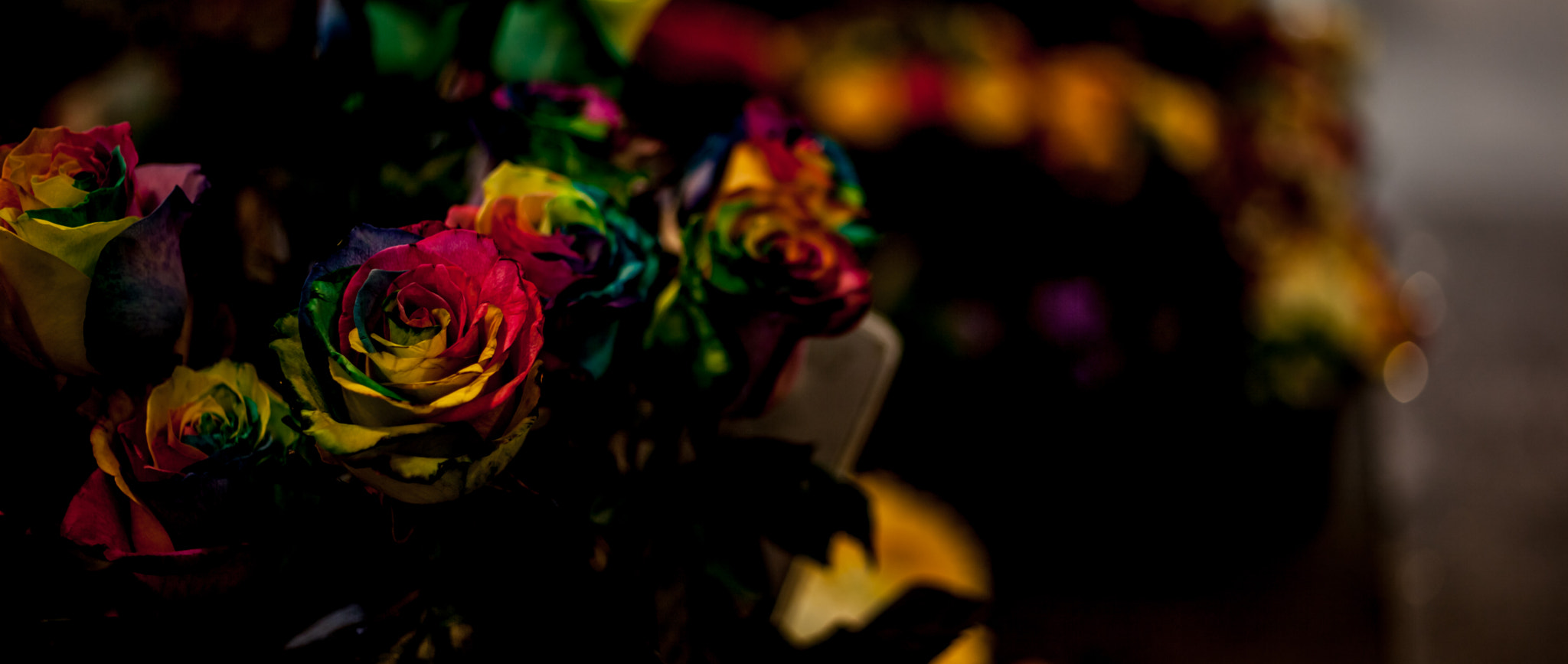 Canon EOS 5D Mark II + ZEISS Makro-Planar T* 50mm F2 sample photo. Rainbow ross photography