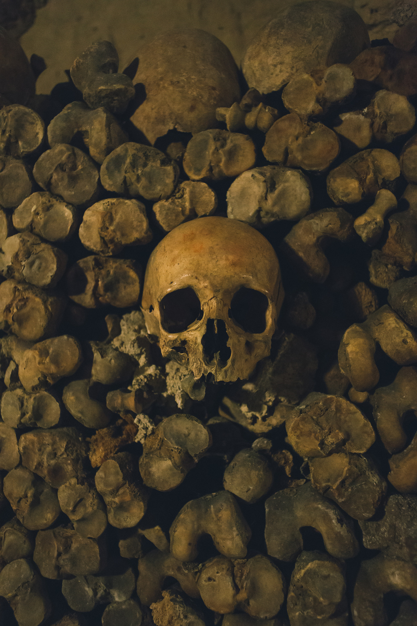 Canon EOS 6D + Canon EF 28mm F2.8 sample photo. Skull photography