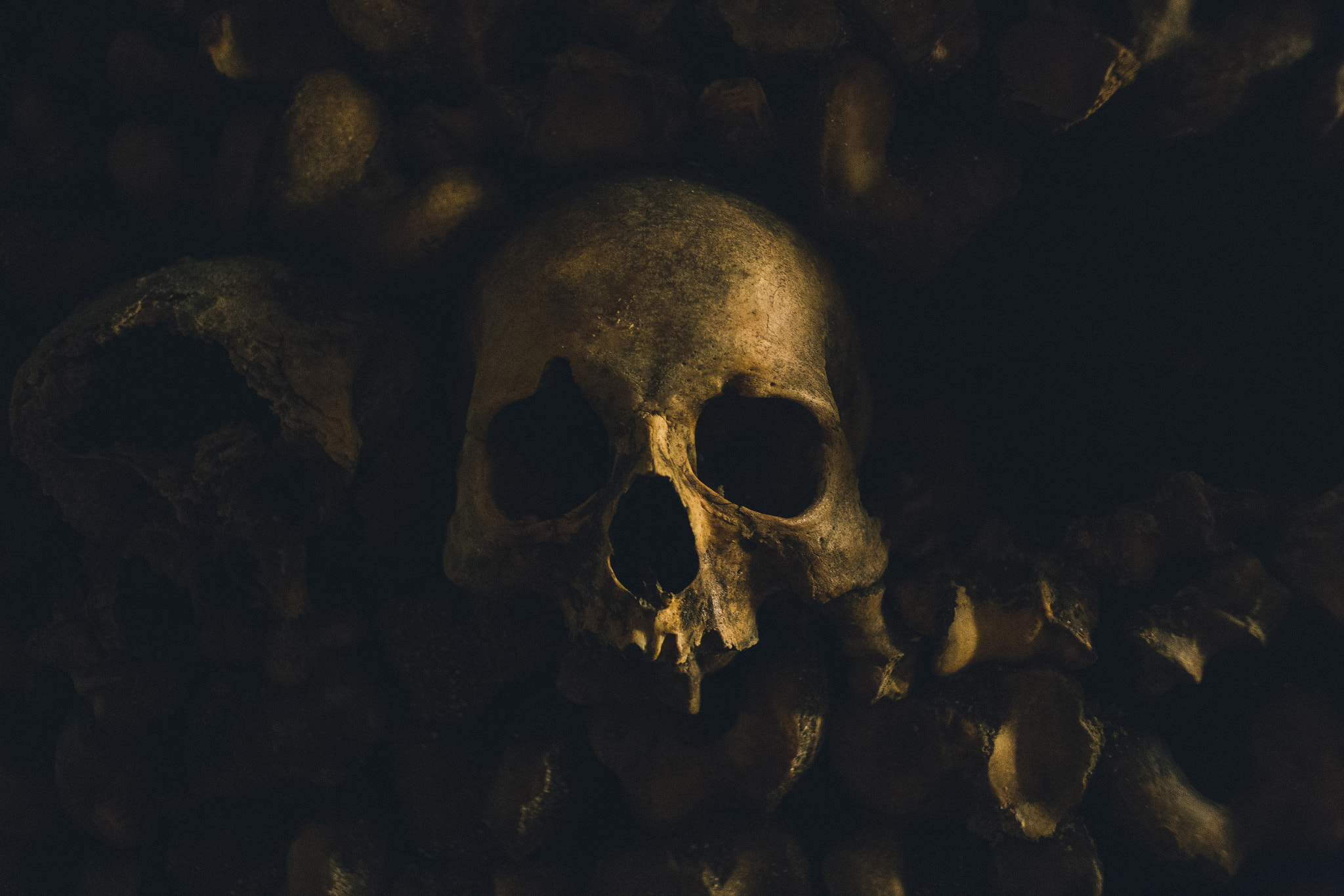 Canon EOS 6D + Canon EF 28mm F2.8 sample photo. Skull photography