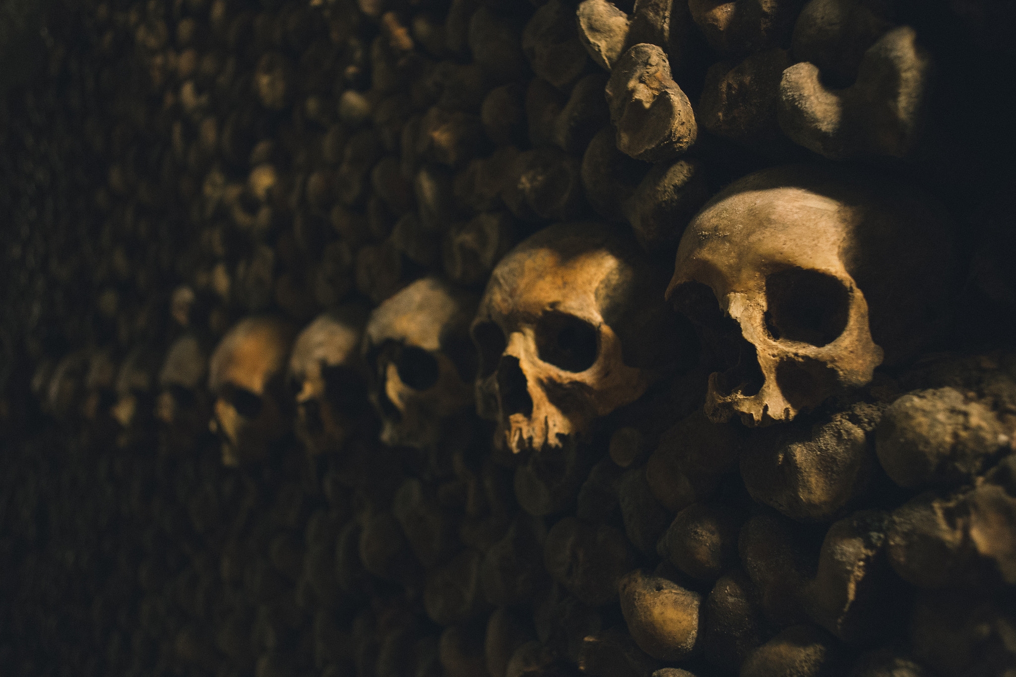 Canon EOS 6D + Canon EF 28mm F2.8 sample photo. Skull photography