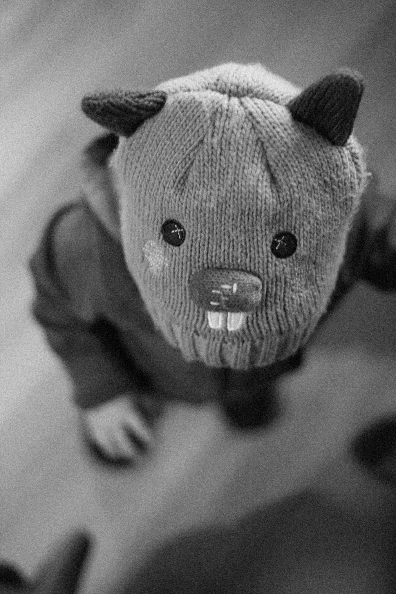 Canon EOS 400D (EOS Digital Rebel XTi / EOS Kiss Digital X) sample photo. Funny hat photography