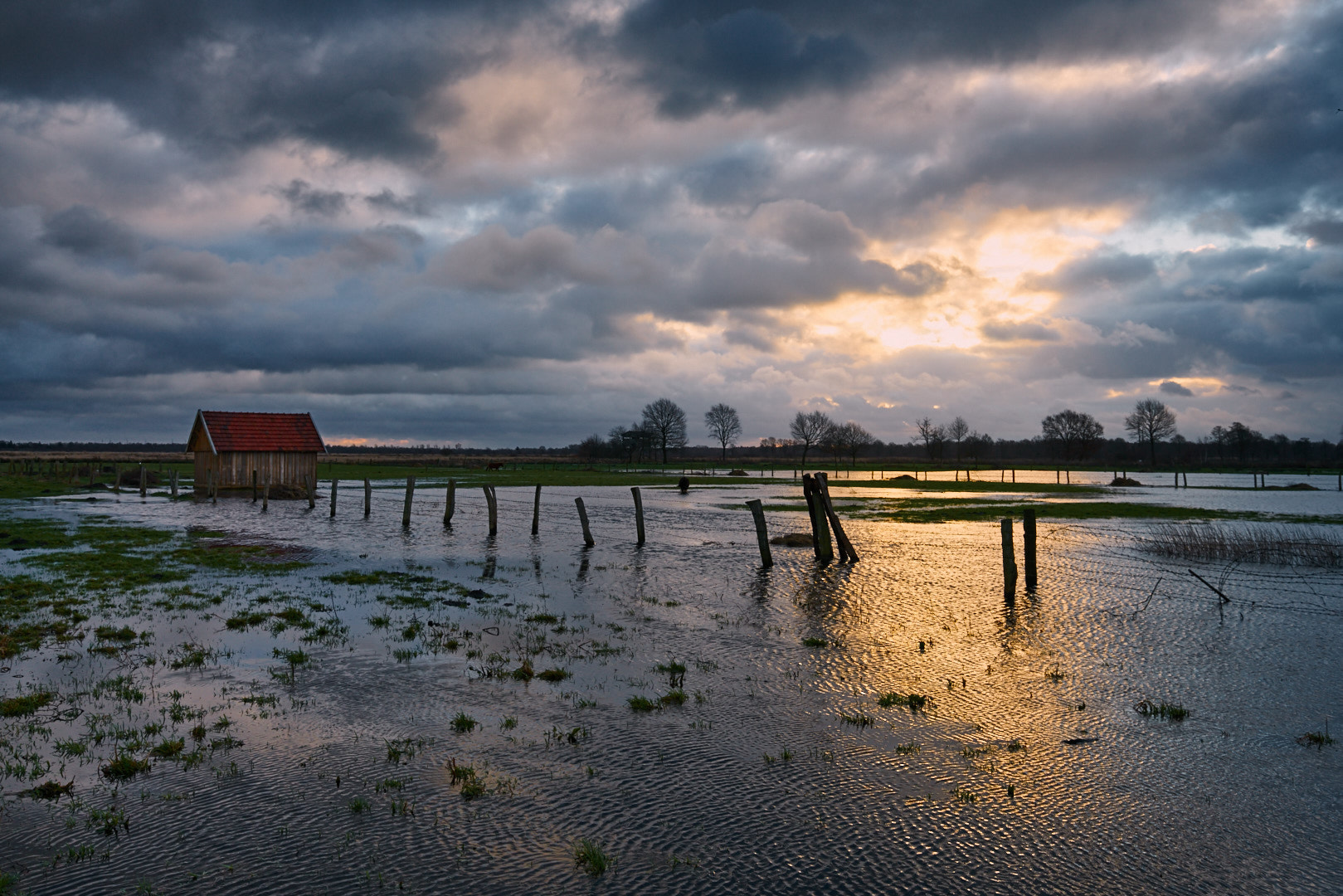 16-35mm F4 G SSM OSS sample photo. Cloudy morning photography