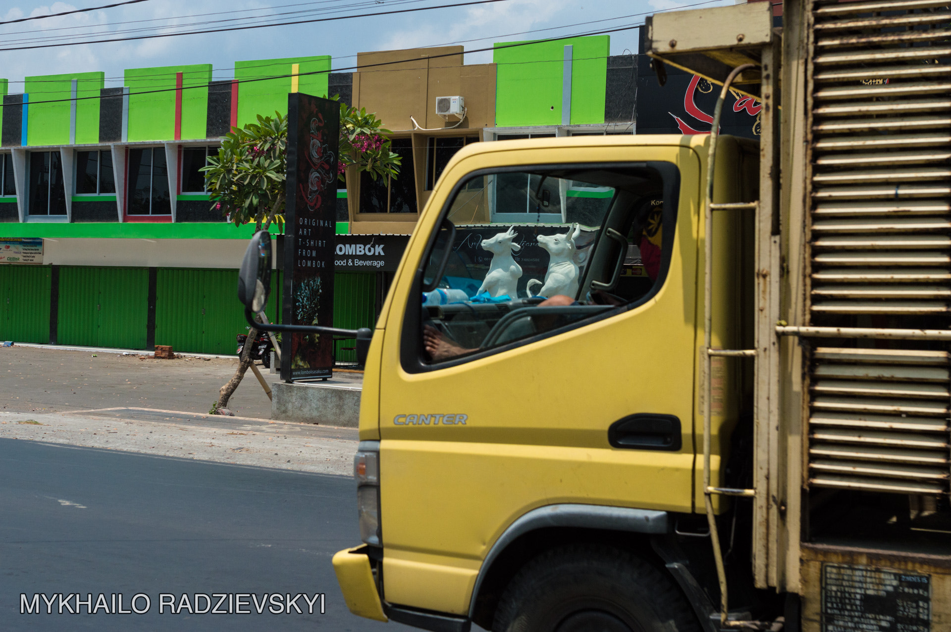 Nikon D3200 + Sigma 35mm F1.4 DG HSM Art sample photo. White cow driver photography