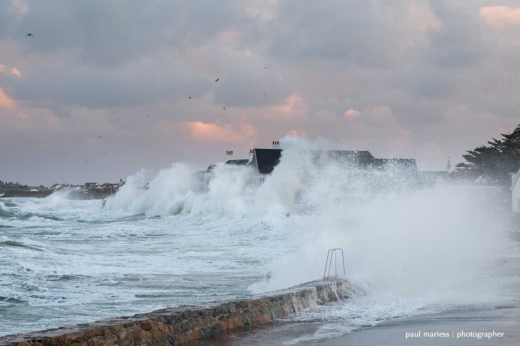 Fujifilm X-Pro1 + Fujifilm XF 16-55mm F2.8 R LM WR sample photo. Wild photography