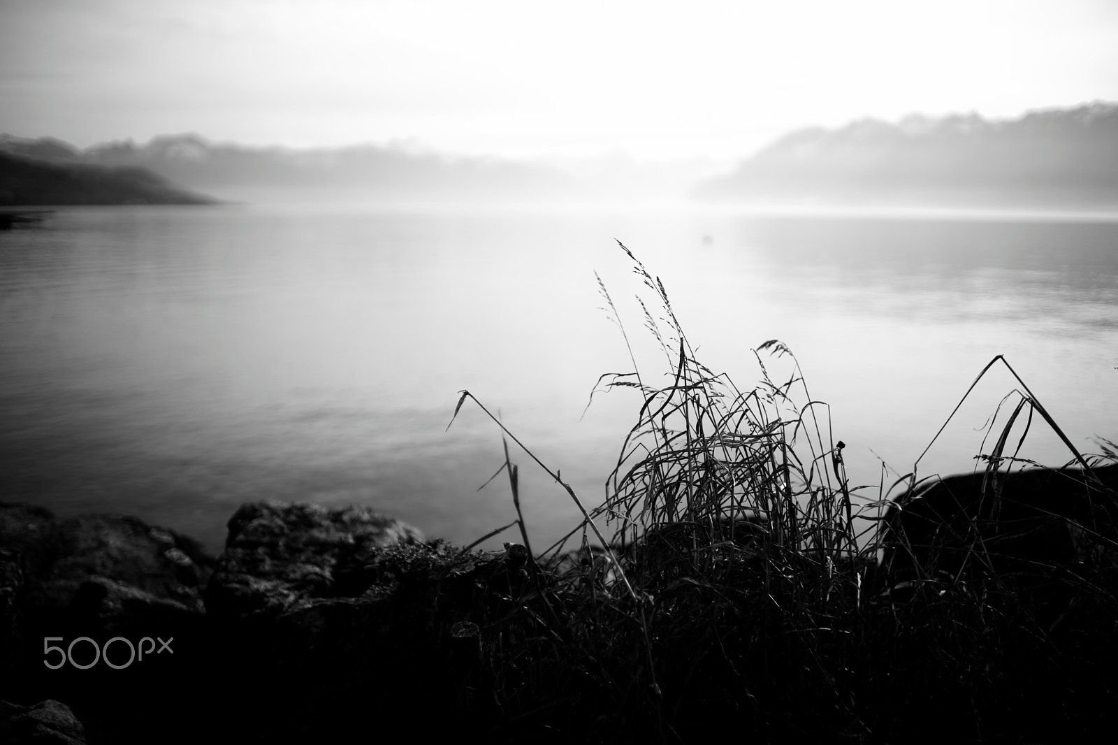 Sony a99 II + Sony 35mm F1.4 G sample photo. #f1.4landscape #5 photography