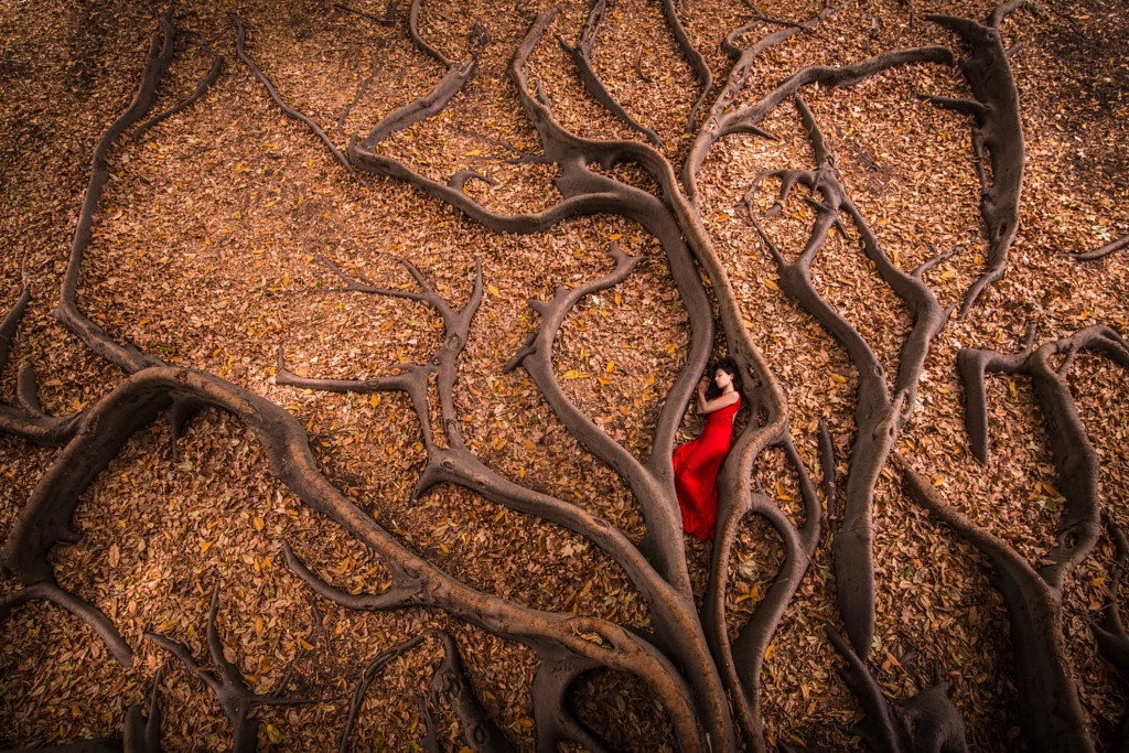 Roots Birth by Julien Orre on 500px.com