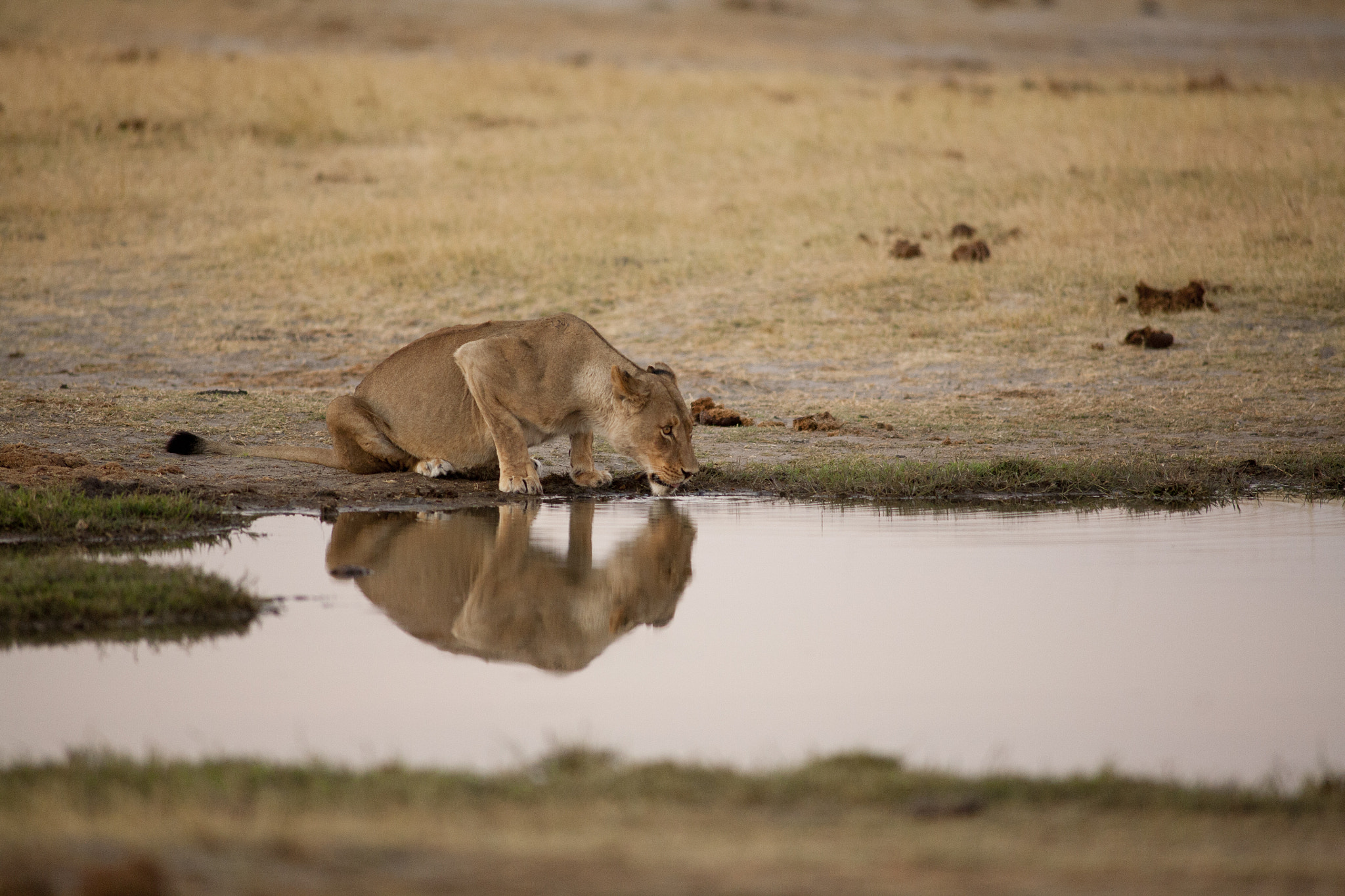 Canon EOS 5D + Canon EF 400mm f/2.8L sample photo. Clean lines photography