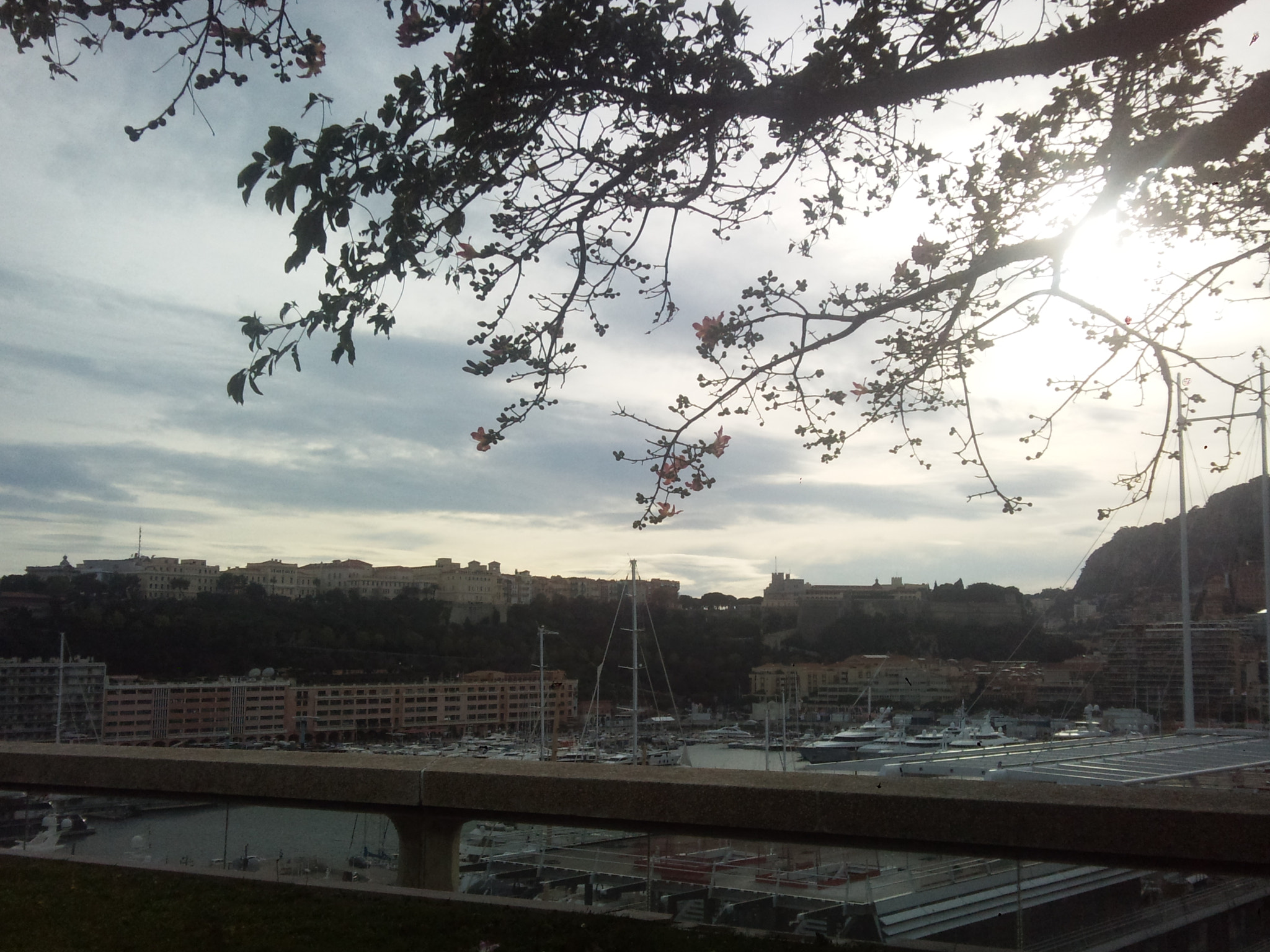 Samsung GT-i8910 sample photo. 10930716955.jpg photography