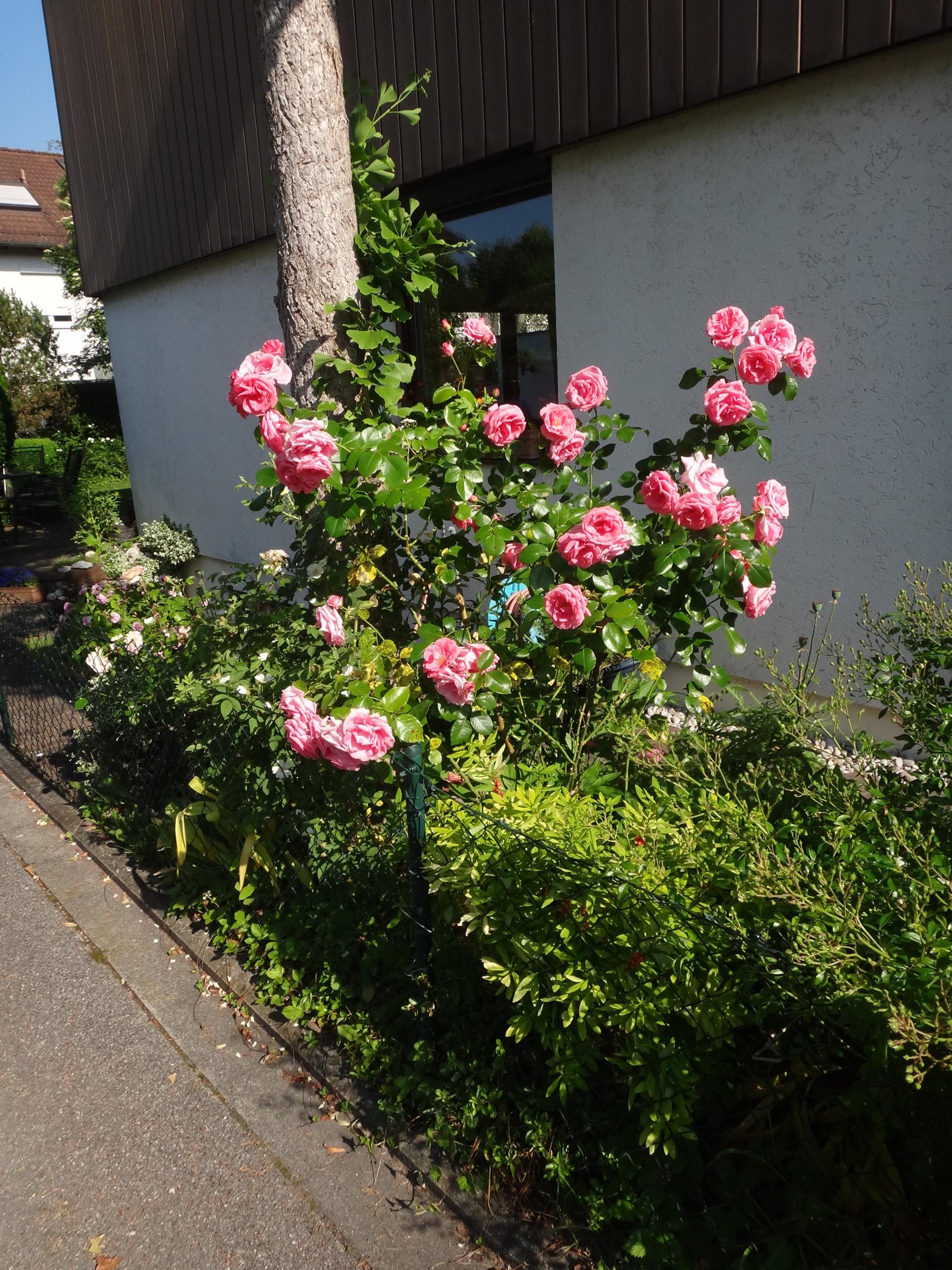 Sony Cyber-shot DSC-TX10 sample photo. 9804692965.jpg photography