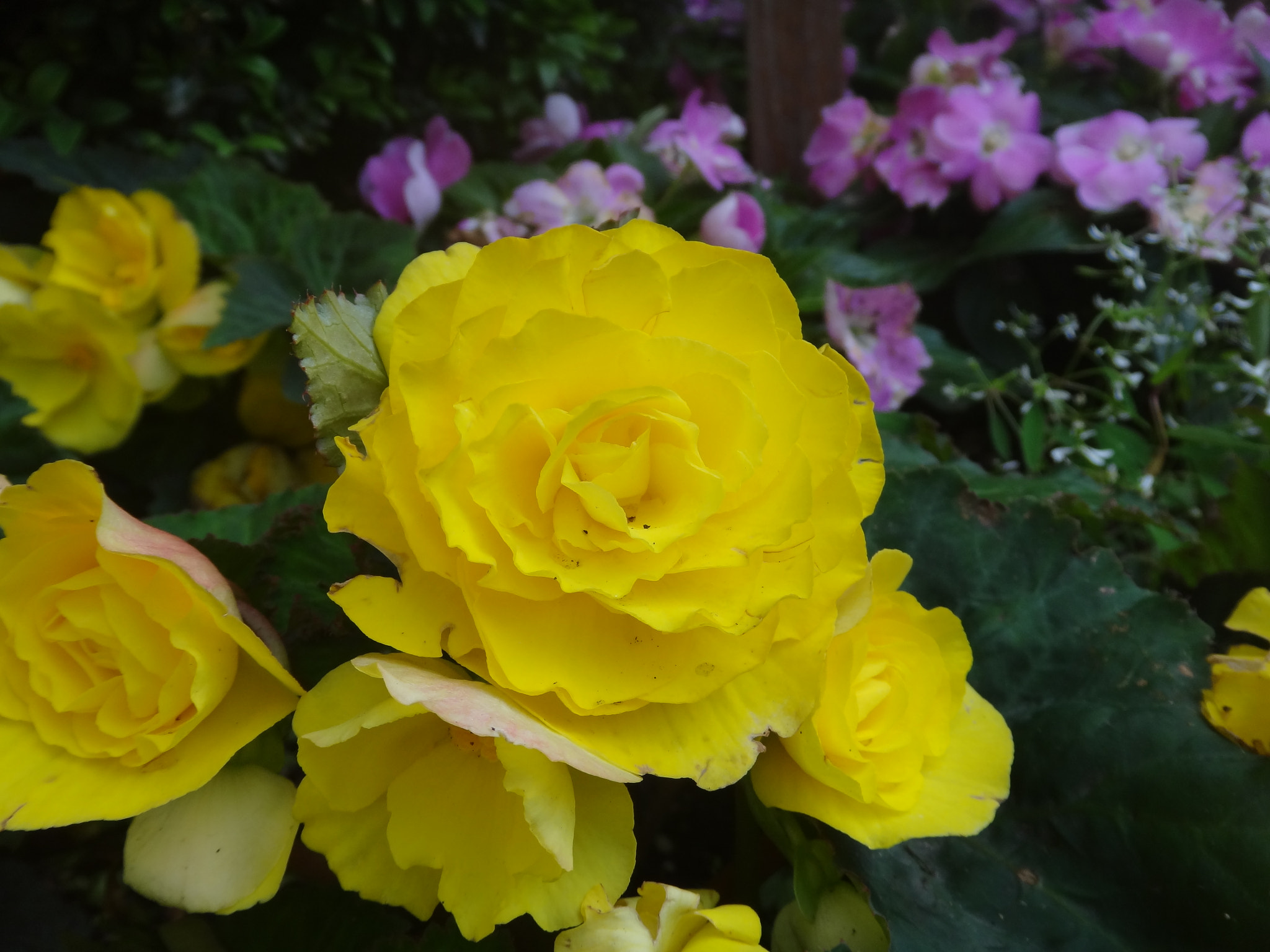 Sony Cyber-shot DSC-TX10 sample photo. 9804807086.jpg photography