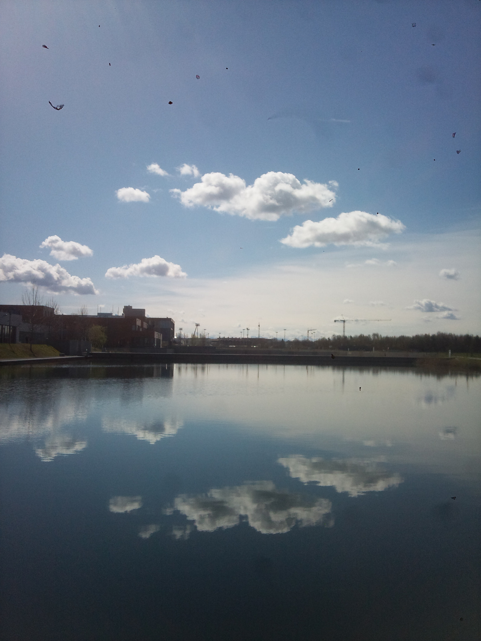 Samsung GT-i8910 sample photo. 8692531693.jpg photography