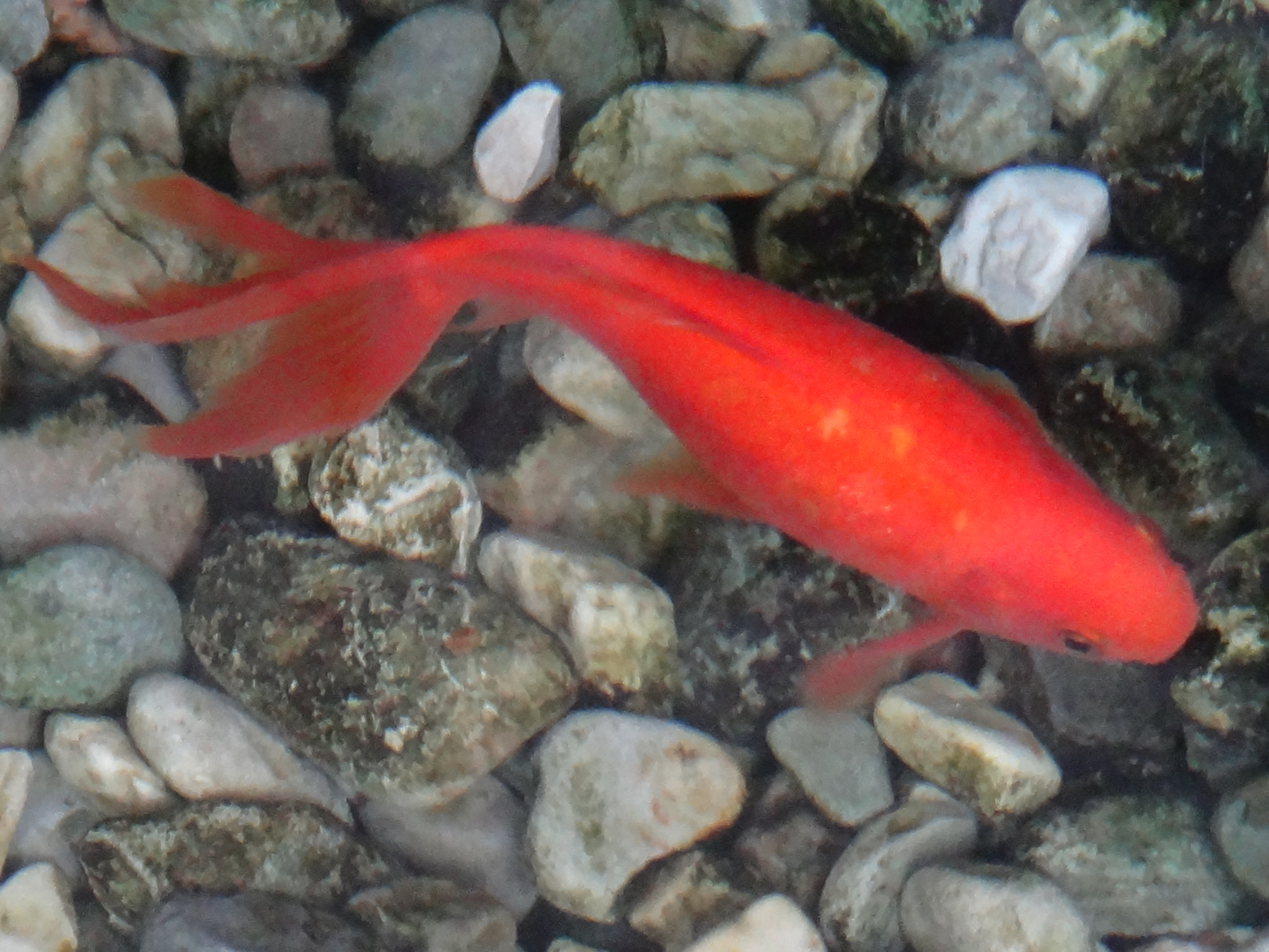 Sony Cyber-shot DSC-TX10 sample photo. 8634552368.jpg photography