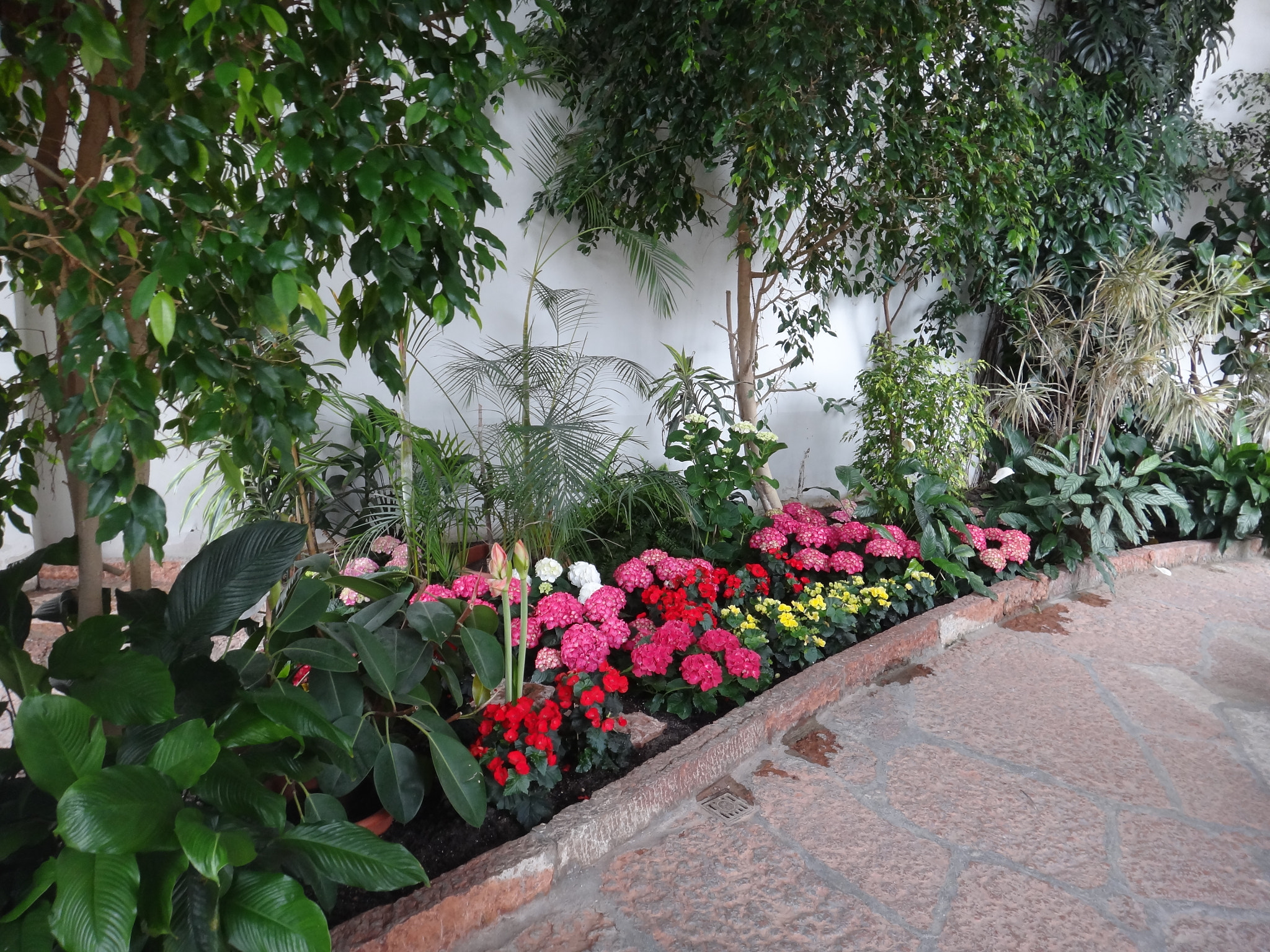 Sony Cyber-shot DSC-TX10 sample photo. 8633435283.jpg photography