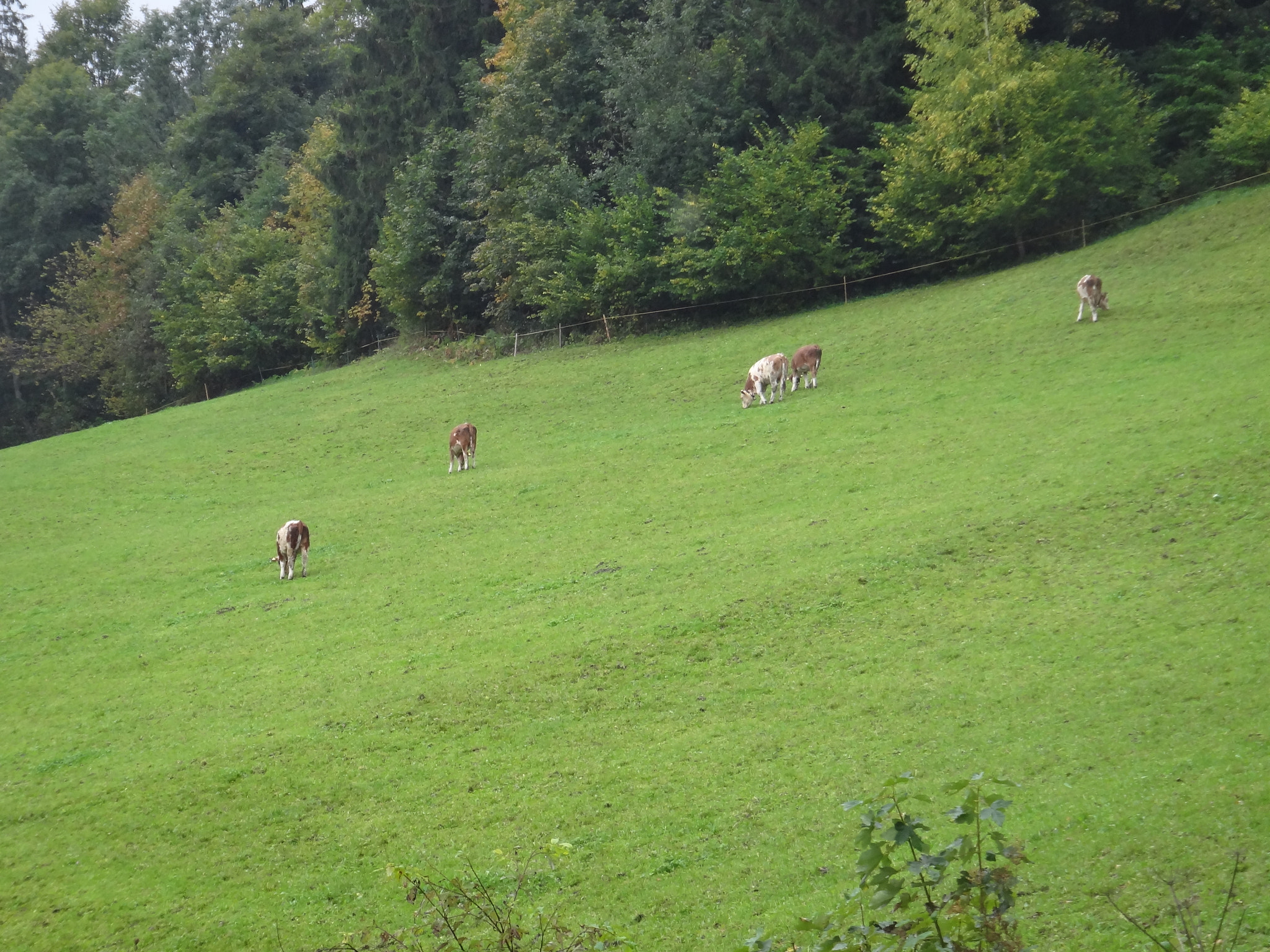 Sony Cyber-shot DSC-TX10 sample photo. 8072546132.jpg photography