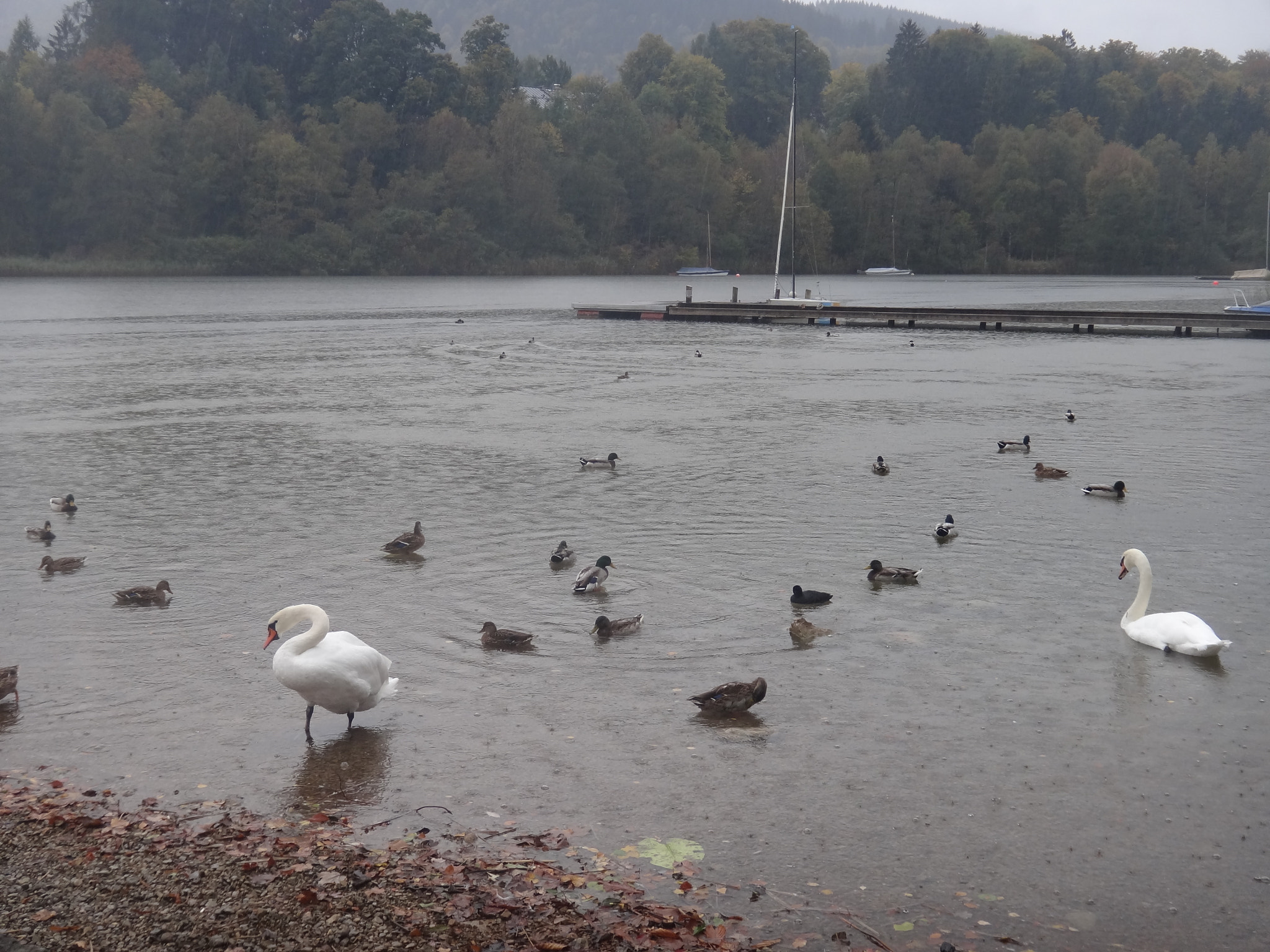 Sony Cyber-shot DSC-TX10 sample photo. 8072554637.jpg photography